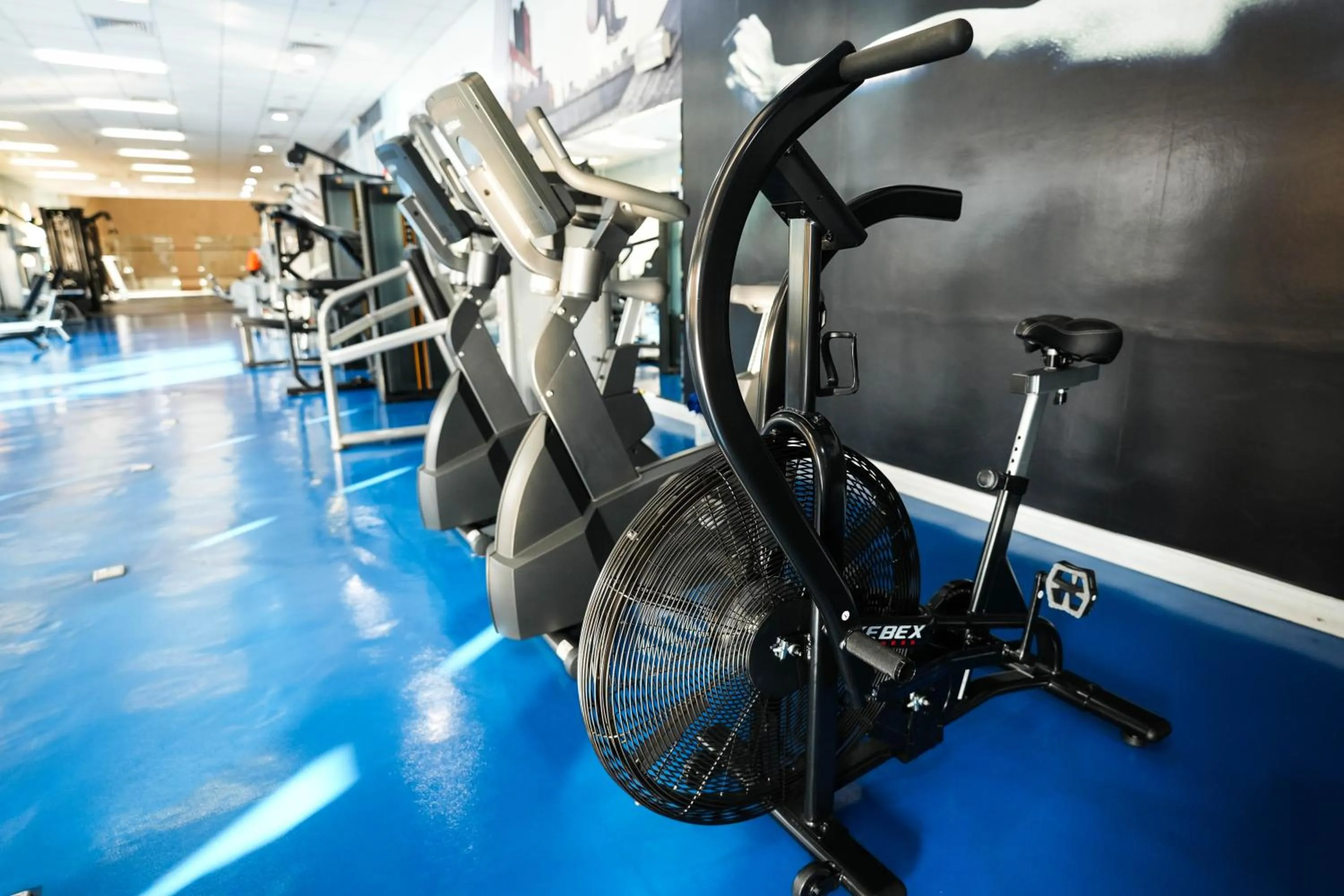 Fitness centre/facilities in Mövenpick Grand Al Bustan