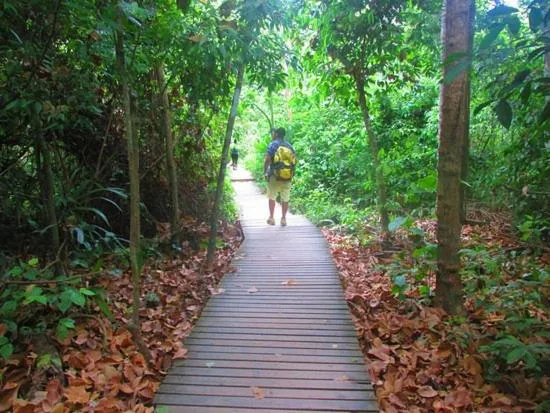 Day in Hostal Villa Cata