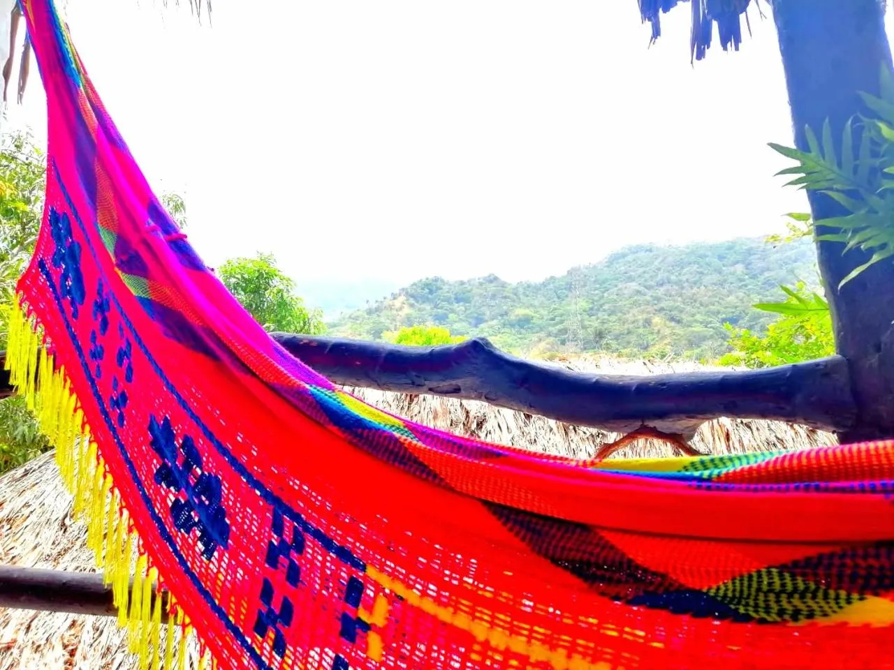 Balcony/Terrace in Hostal Villa Cata