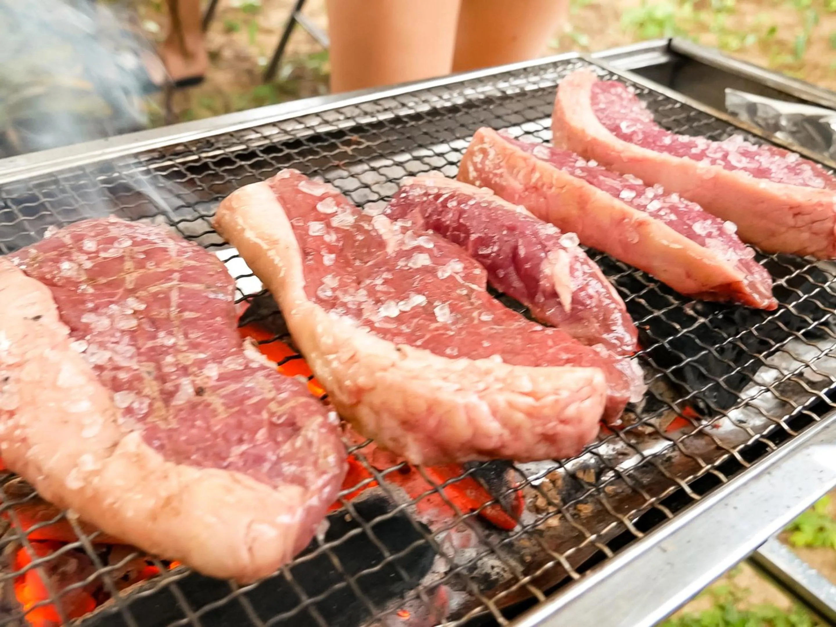 BBQ facilities in Le Grand Bleu