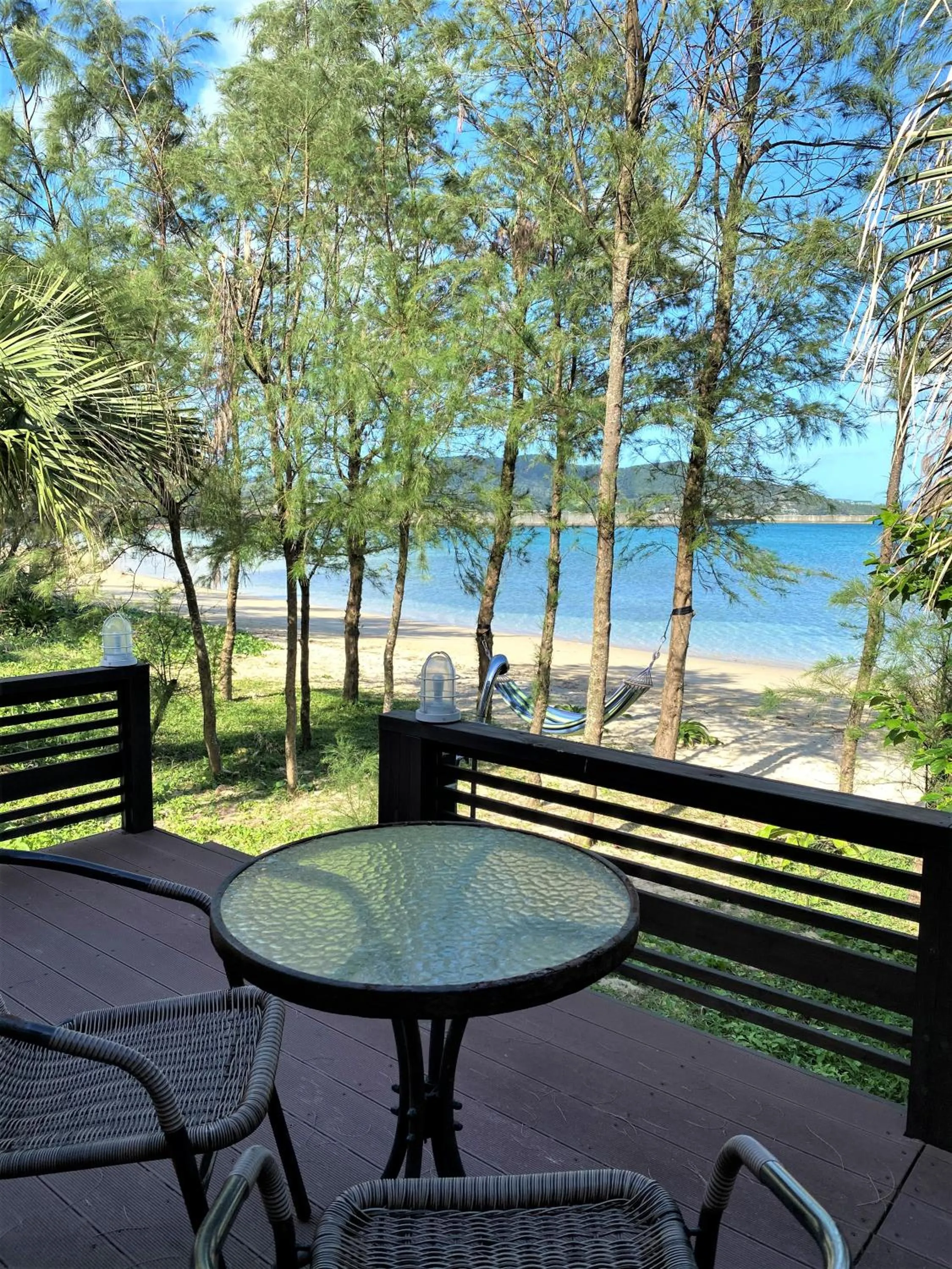 Balcony/Terrace in Le Grand Bleu
