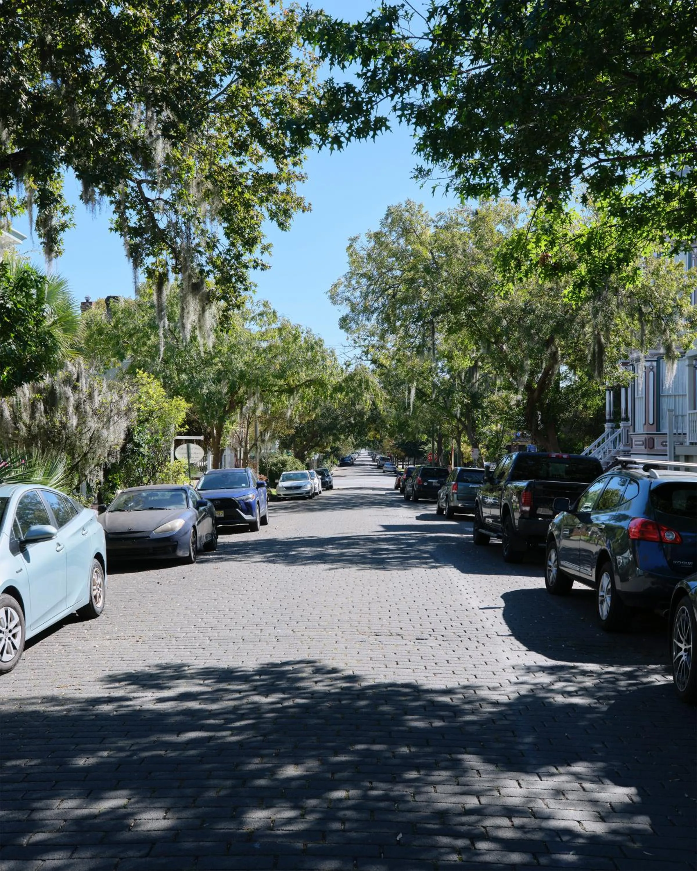 Street view in 111 Waldburg street Beautifully Renovated Historic 5 bedroom 5 bath