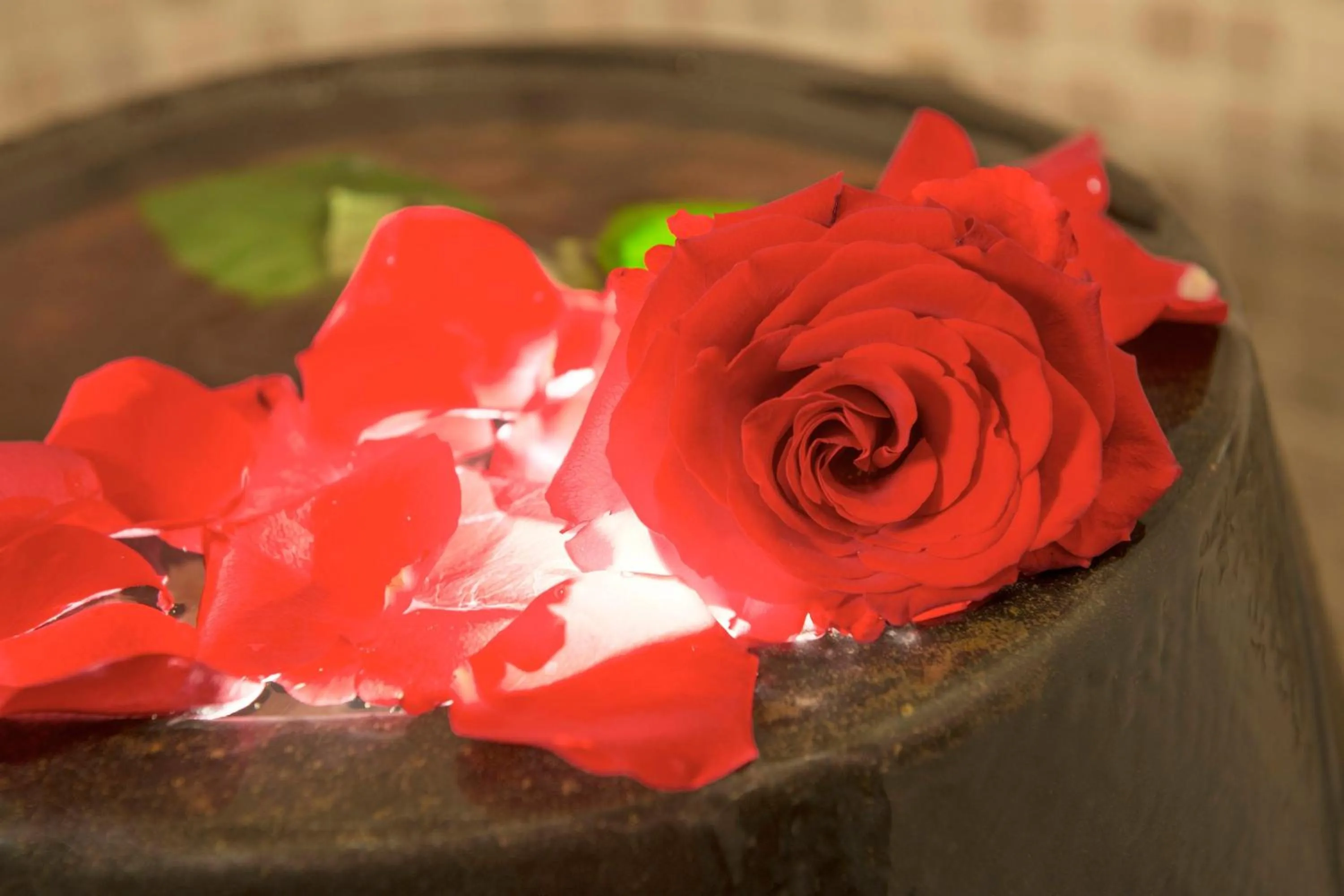 Spa and wellness centre/facilities in Le Méridien Dubai Hotel & Conference Centre