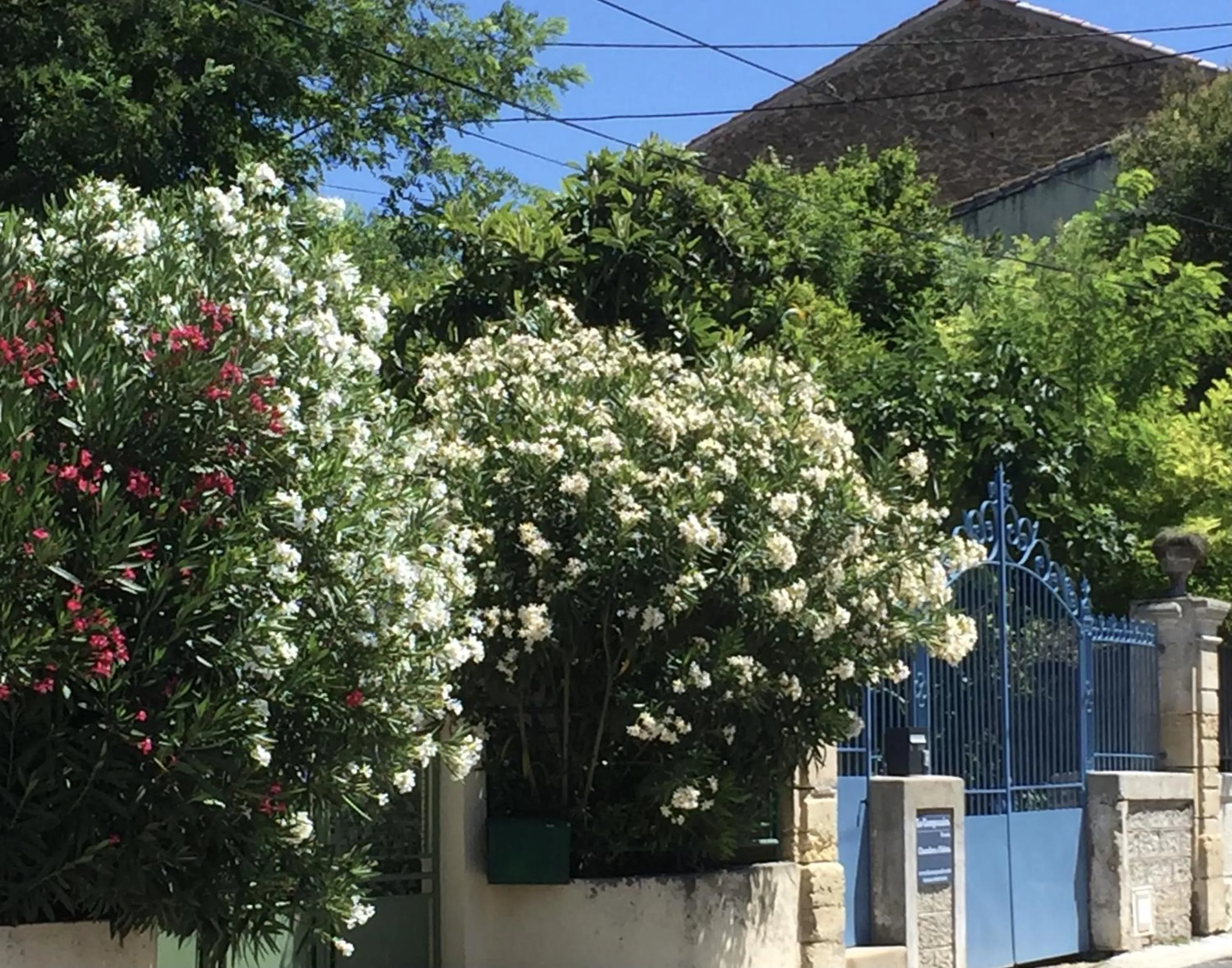 View (from property/room) in Chambre d'Hôtes Lo Componaïro