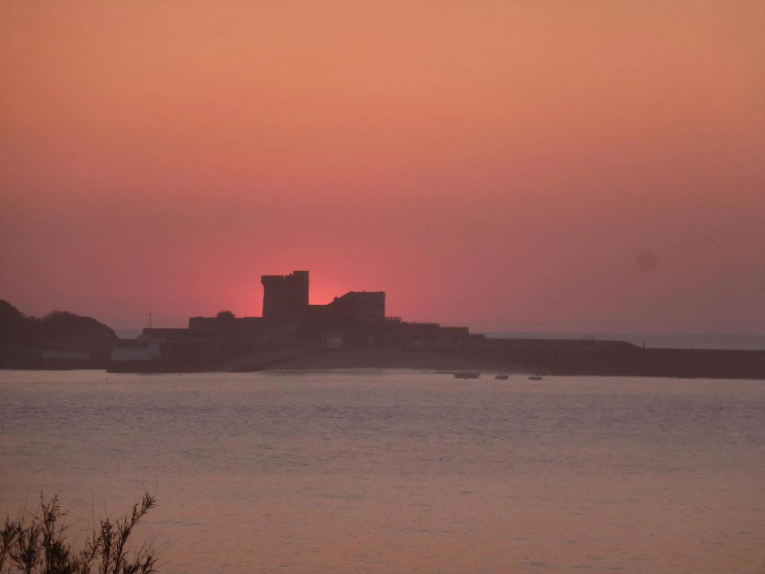 Natural landscape in Hotel Bel Air
