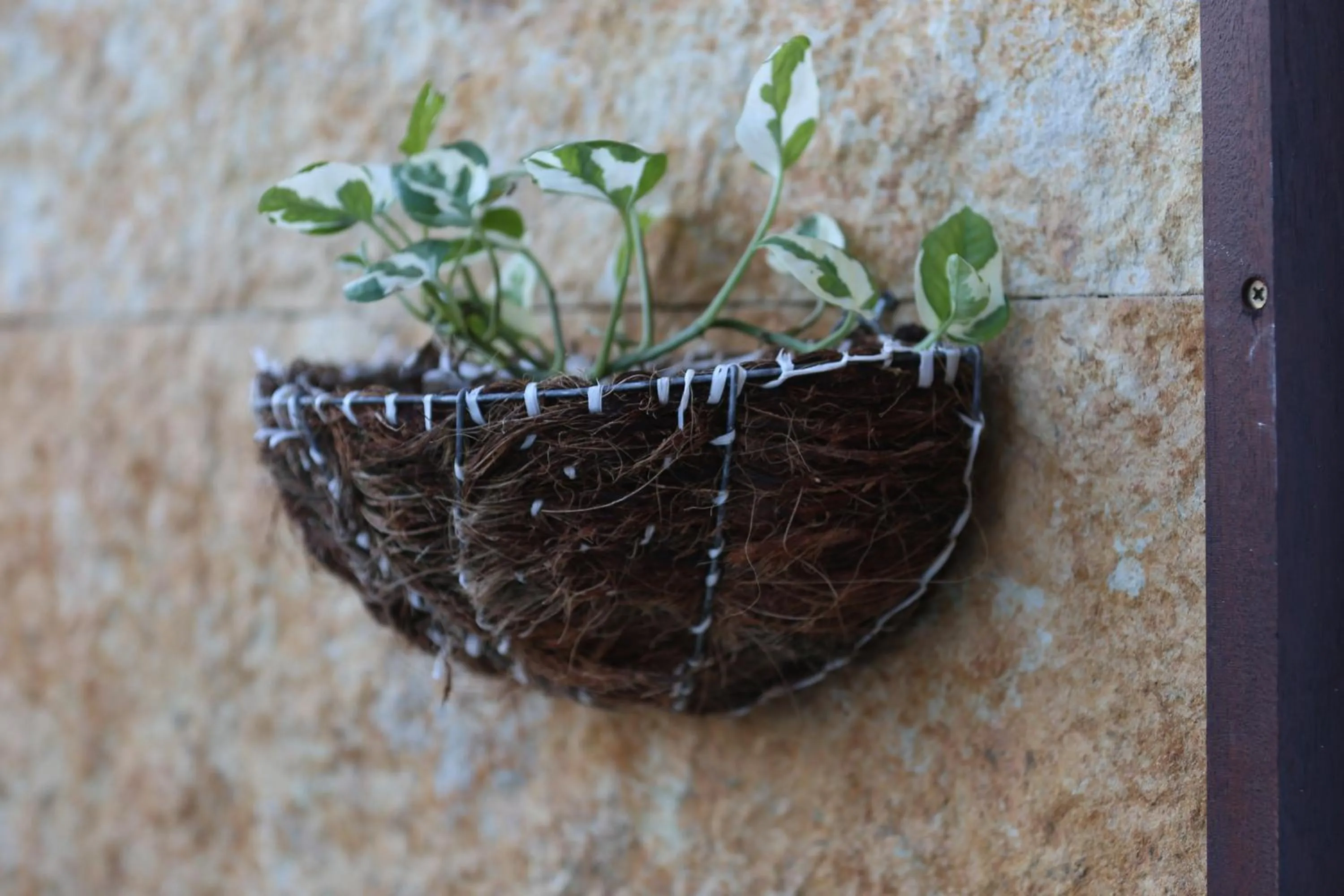 Garden in AYRE GOSTOSO POUSADA