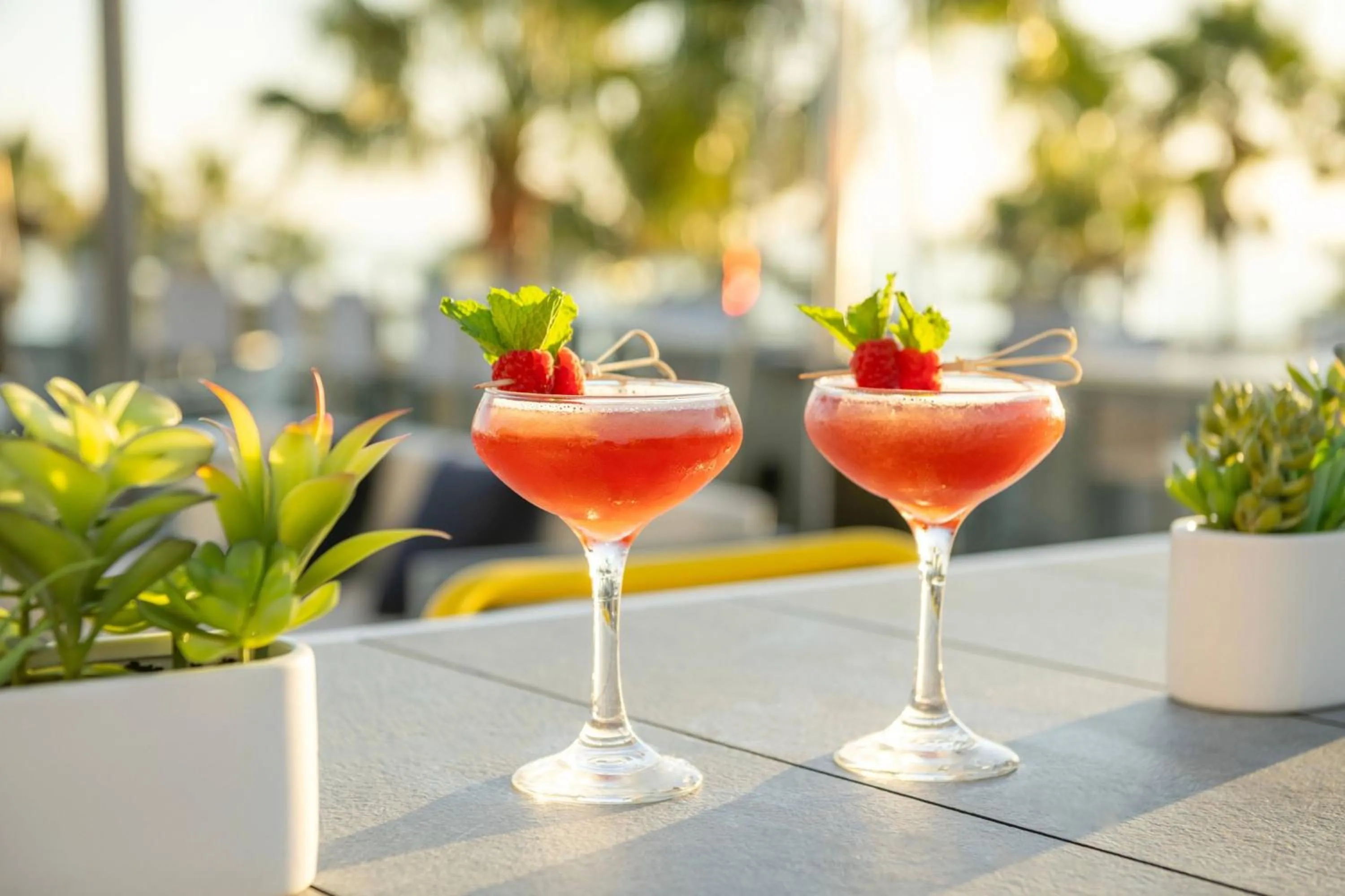 Restaurant/places to eat in SpringHill Suites by Marriott San Diego Carlsbad