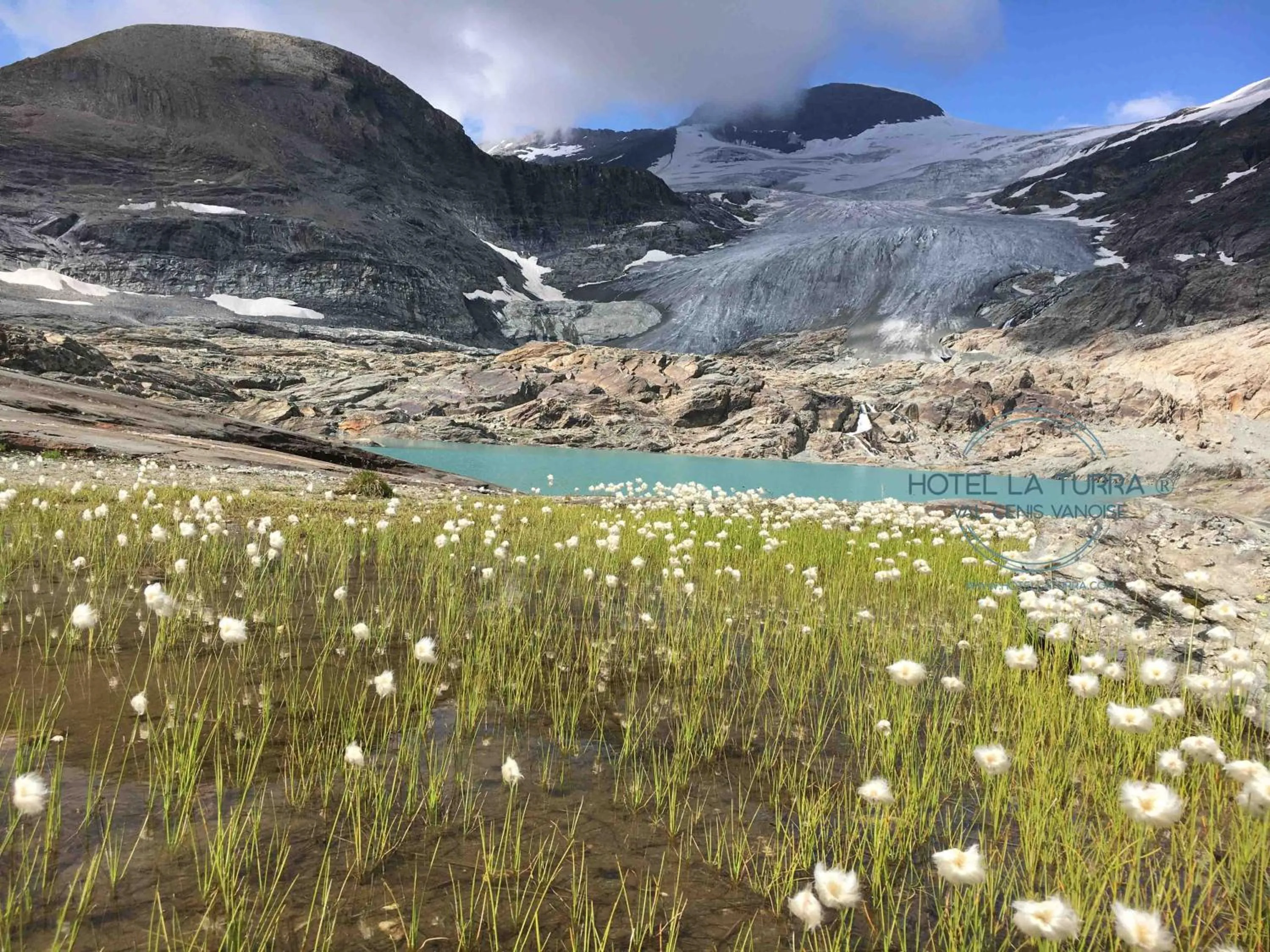 Natural landscape in Hotel la Turra