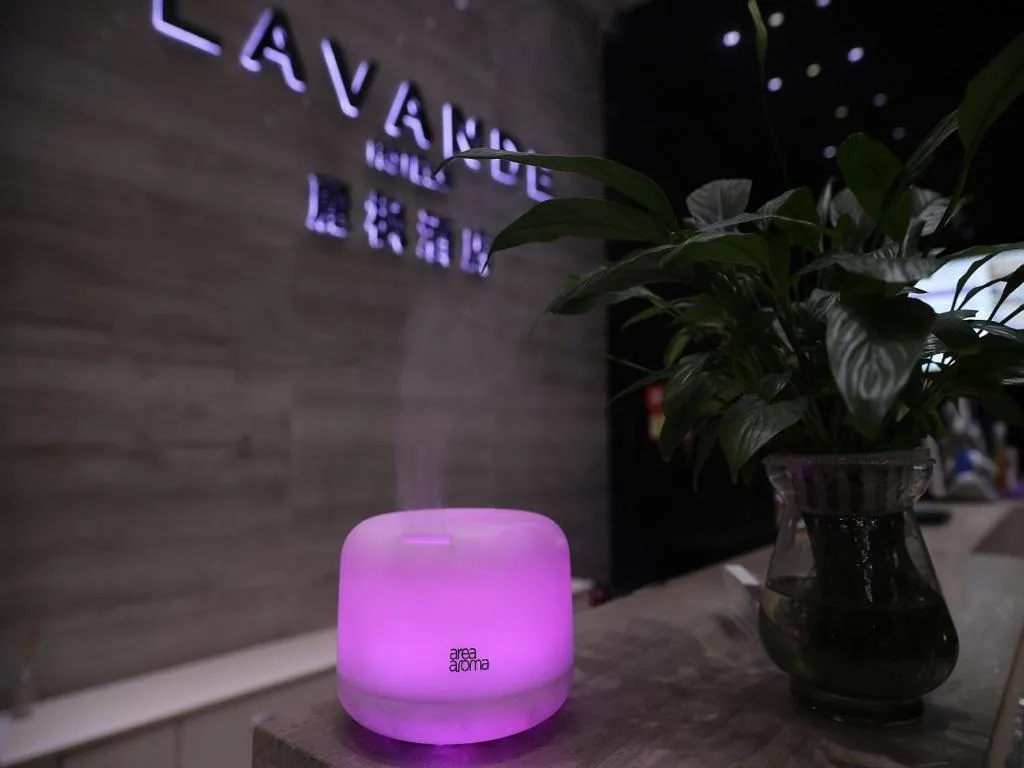 Lavande Hotel Leshan High-speed Railway Station Wanda Plaza