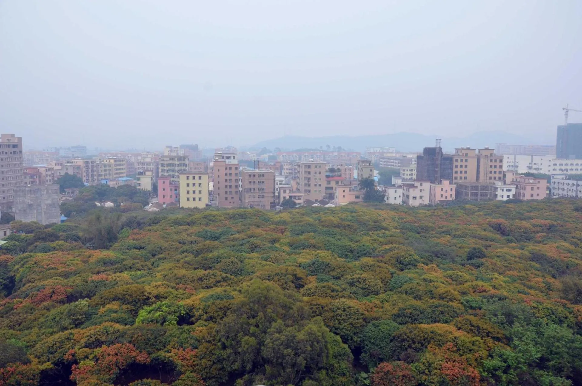 Lavande Hotel Dongguan Tangxia Branch