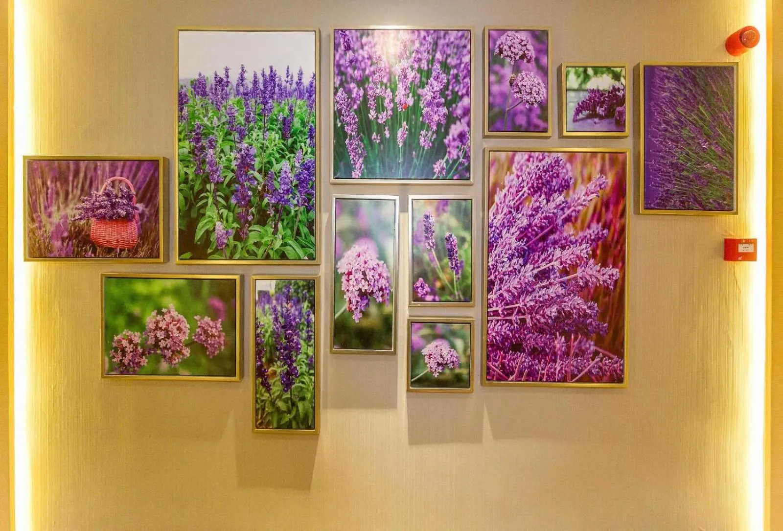 Lavande Hotels Weihai Weigao Square Branch