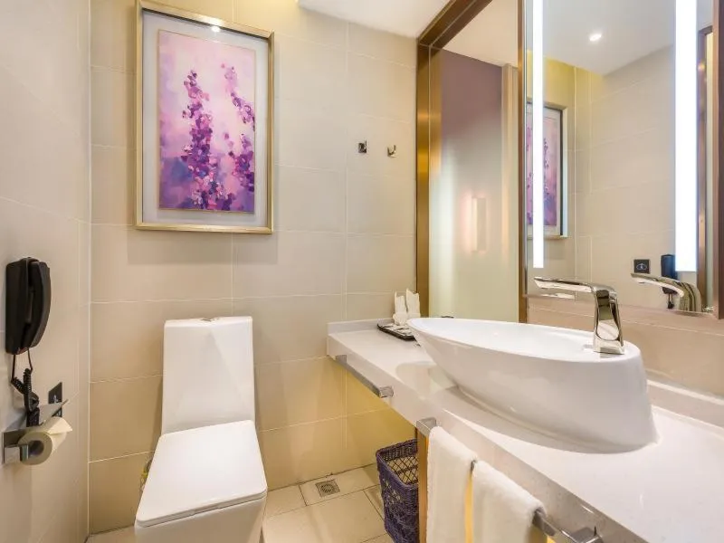 Lavande Hotel Langfang City Government