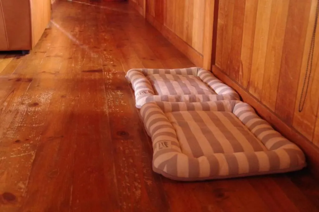 Area and facilities in Miyajima Breeze