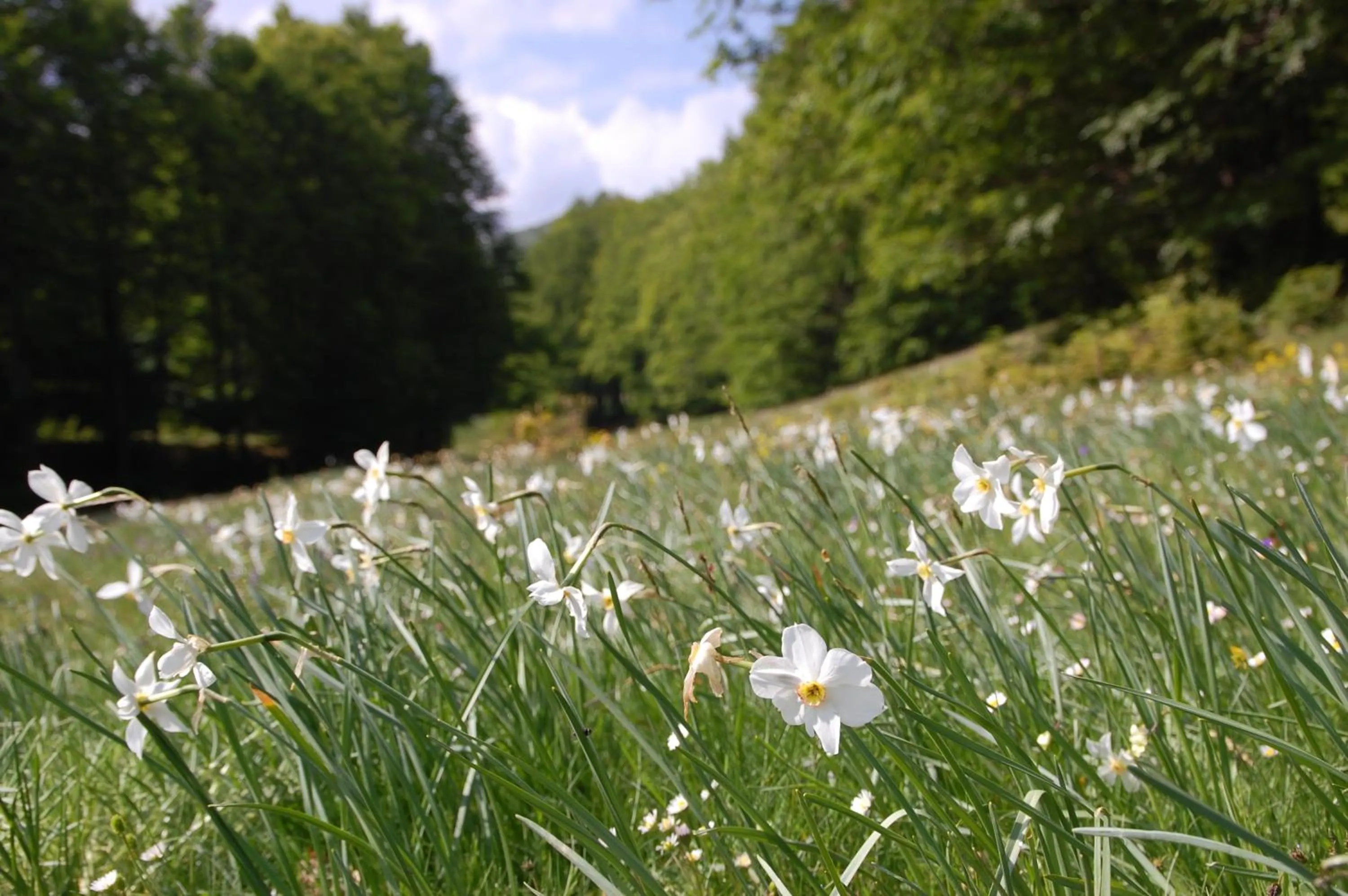 Rifugio Casello Margherita