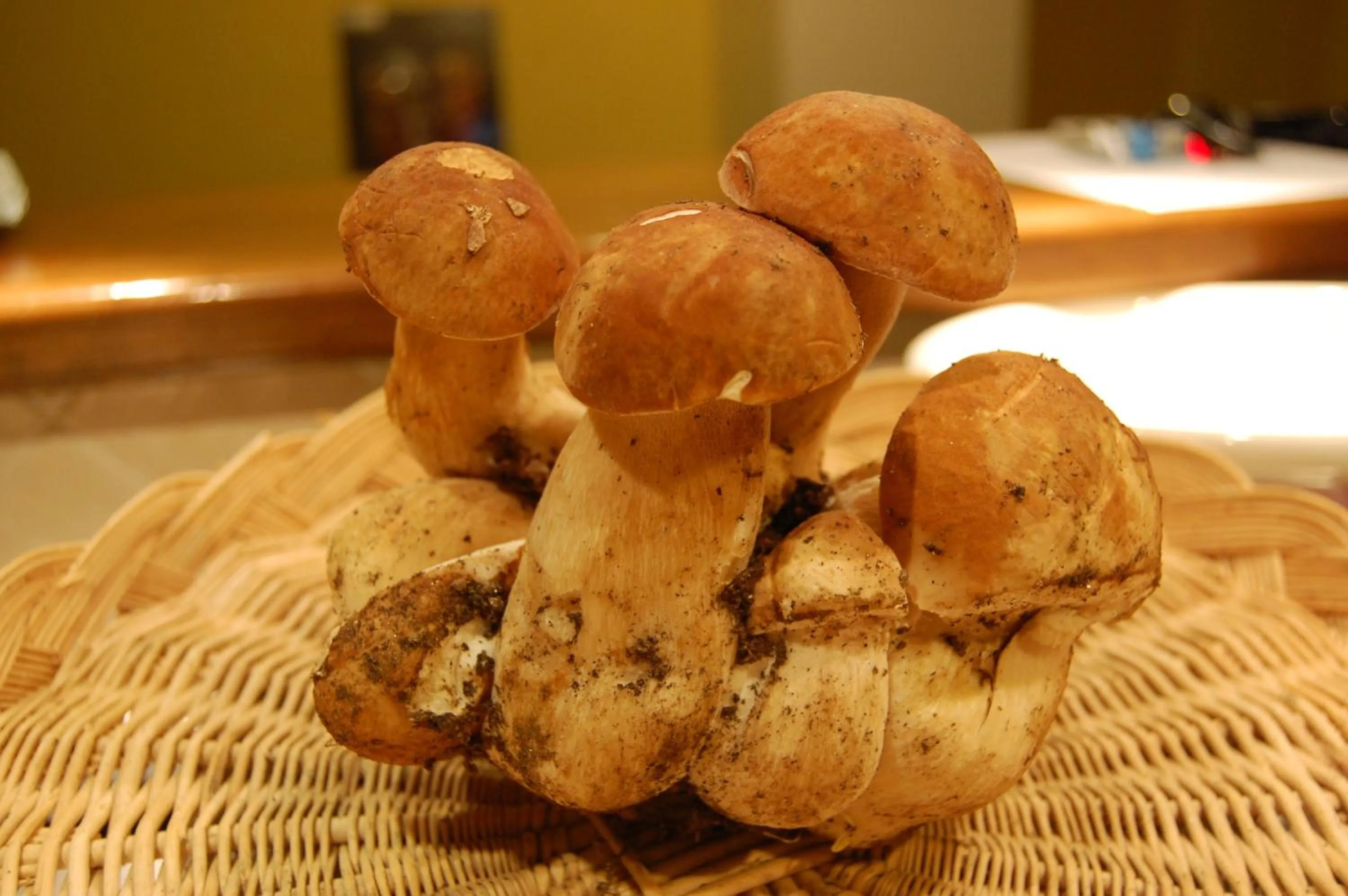 Rifugio Casello Margherita