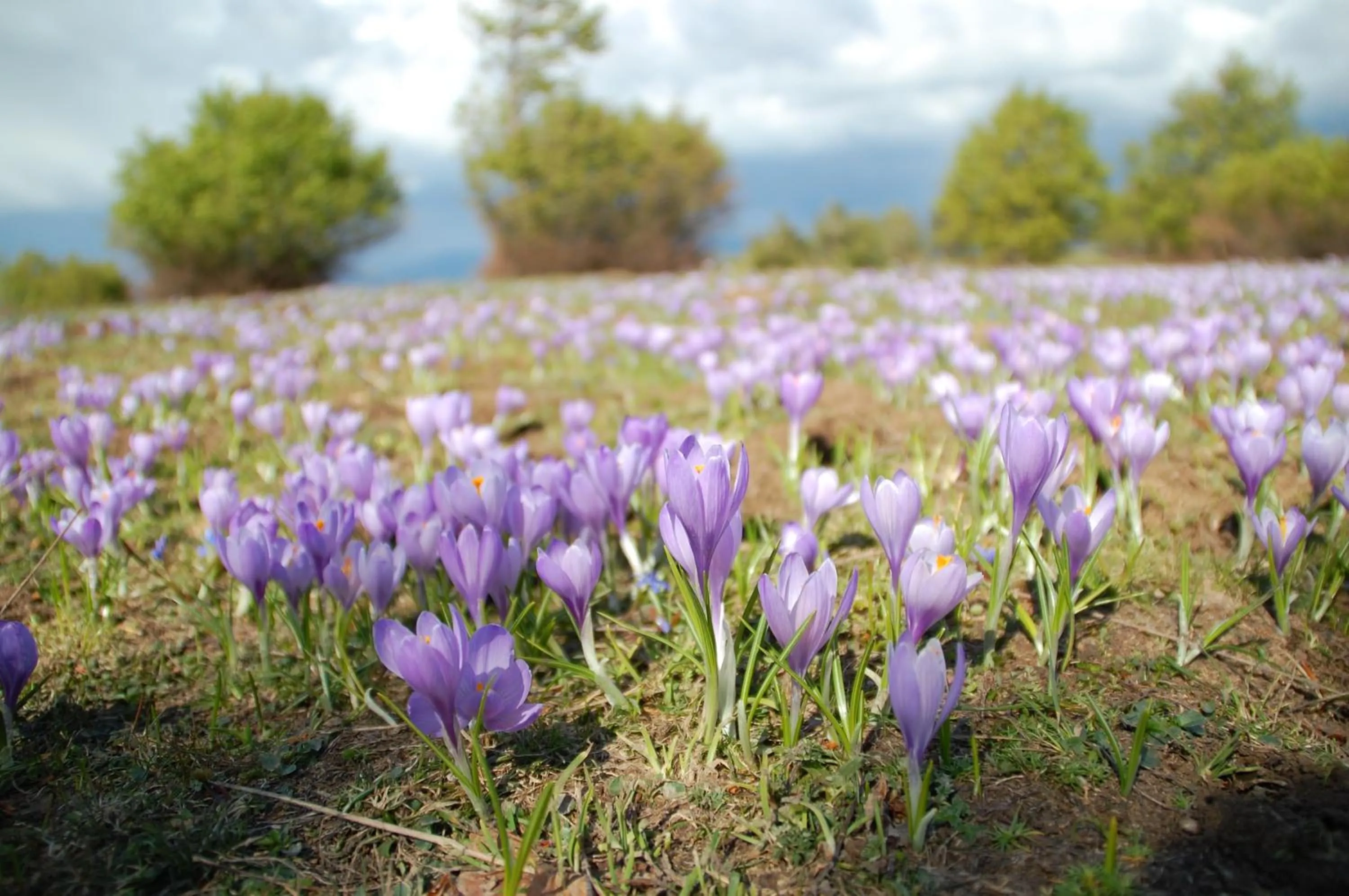 Spring in Rifugio Casello Margherita