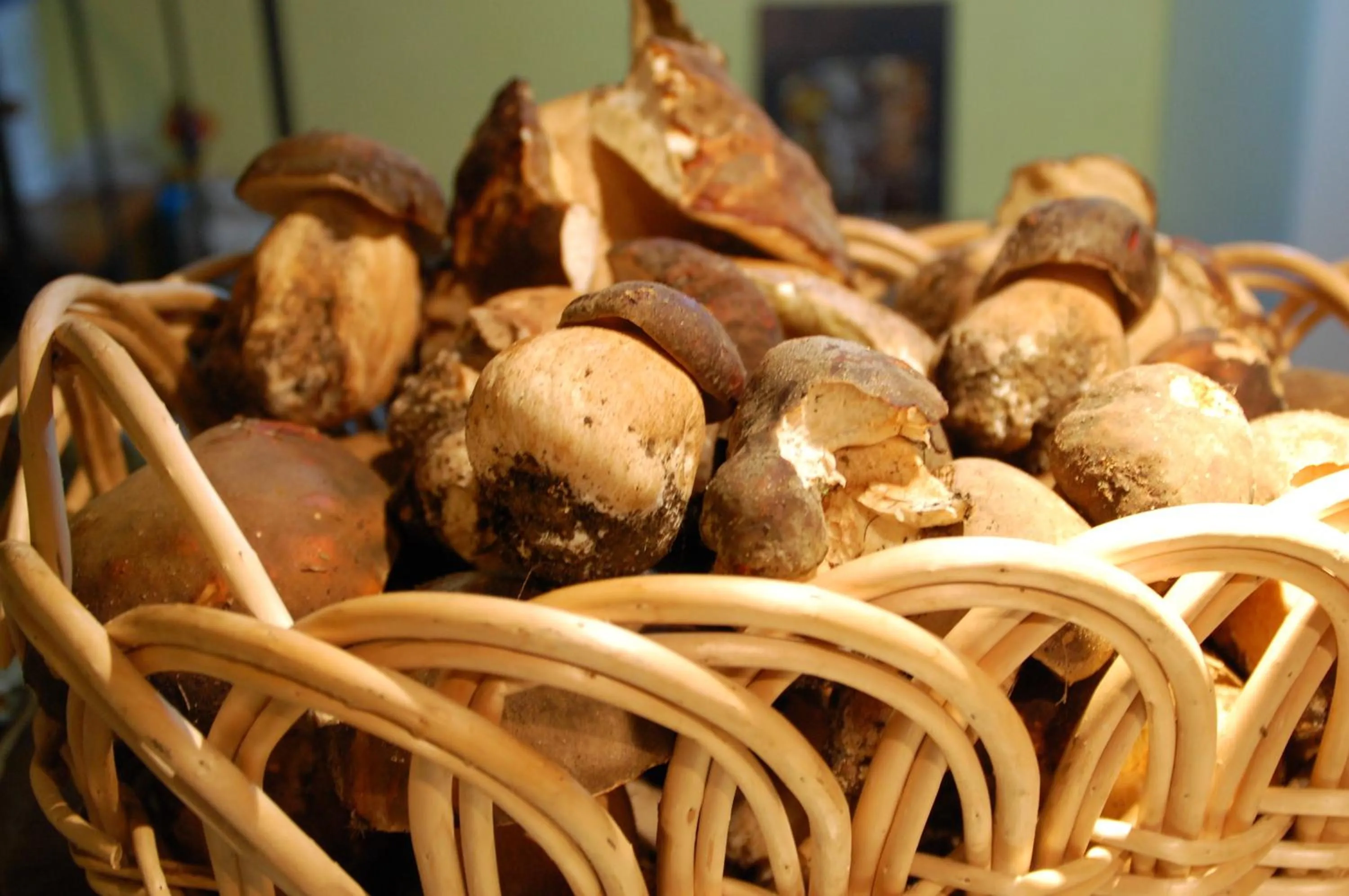 Rifugio Casello Margherita