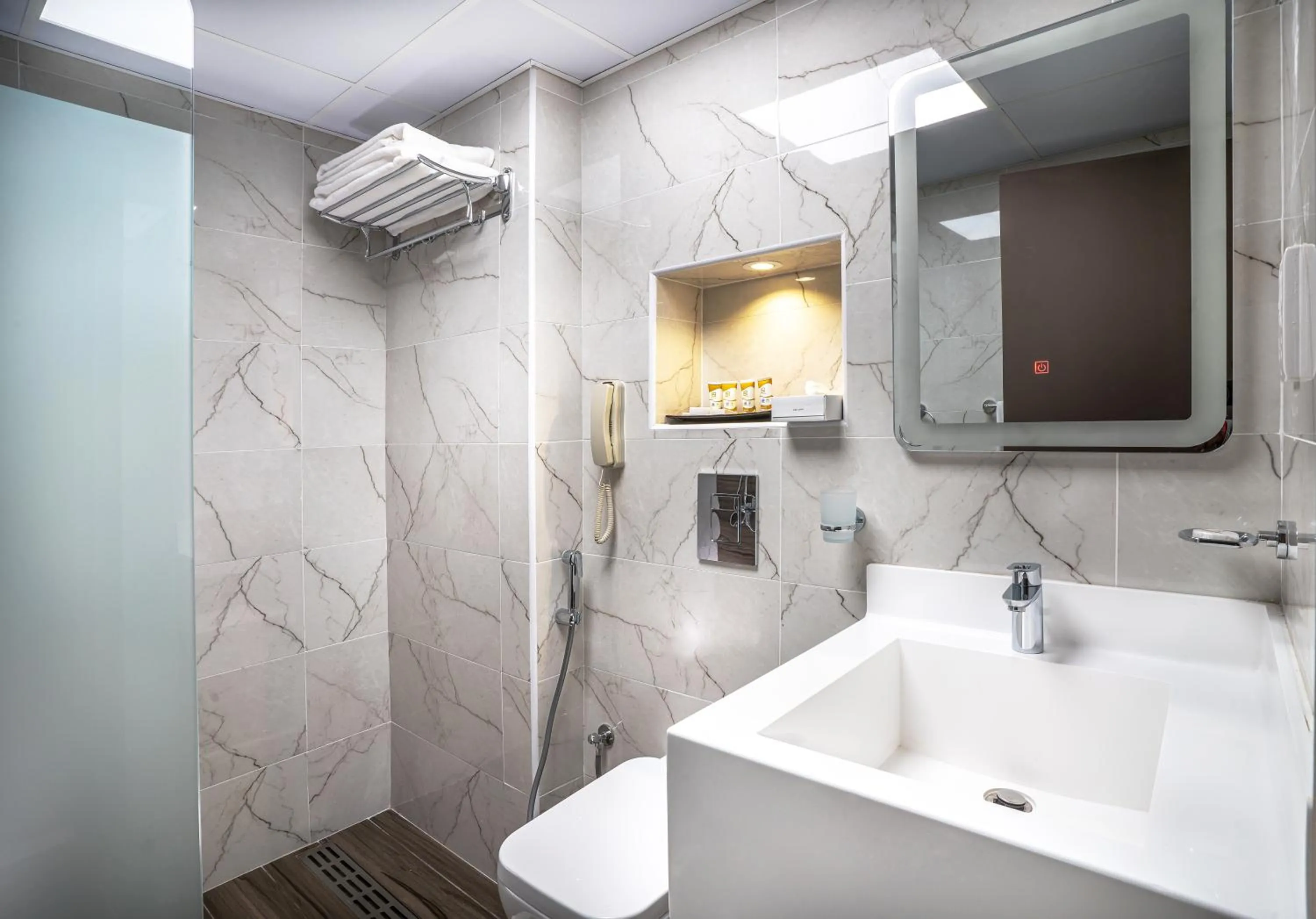 Shower in Hotel Holiday International