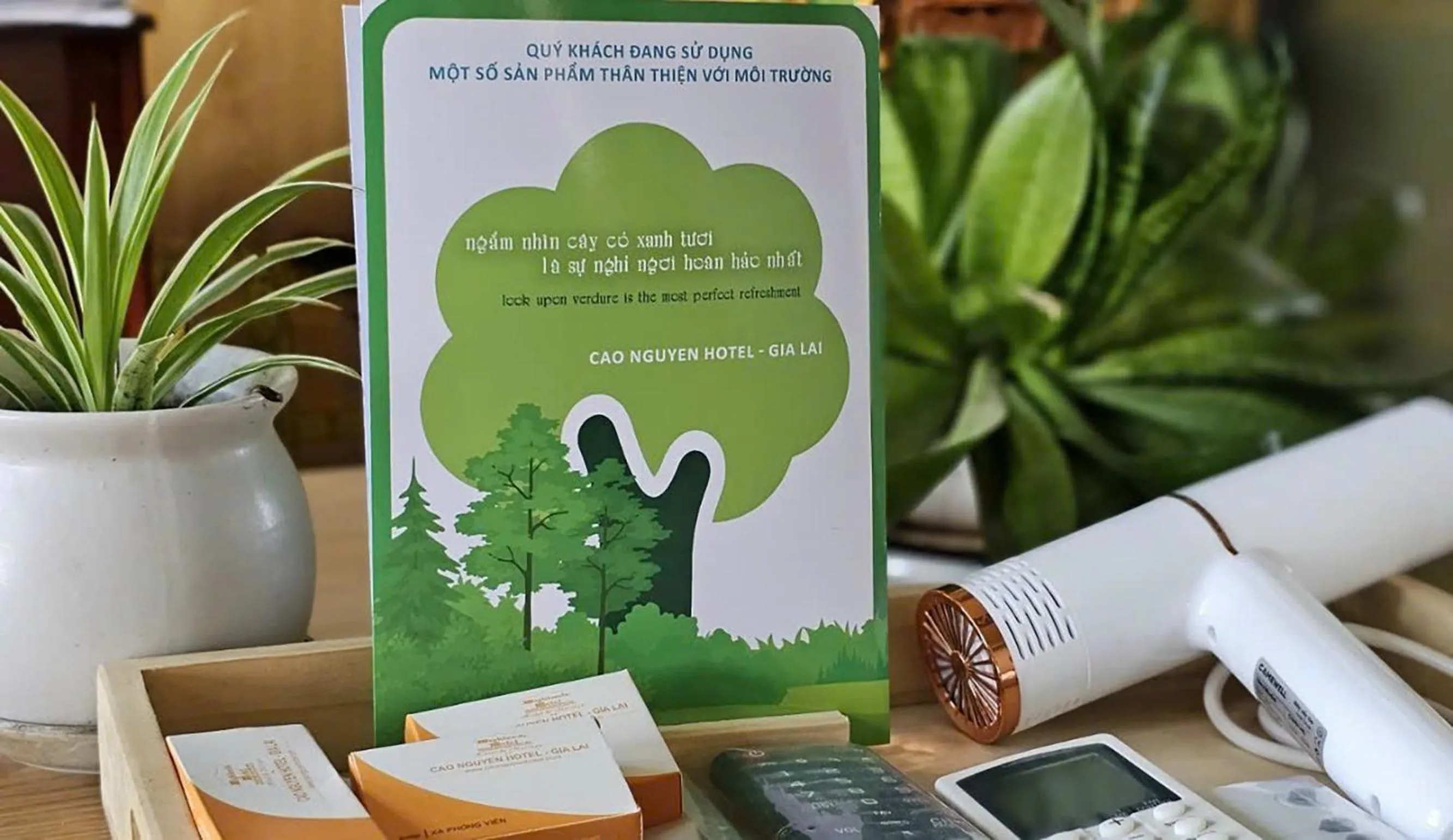 Cao Nguyen Hotel - Gia Lai