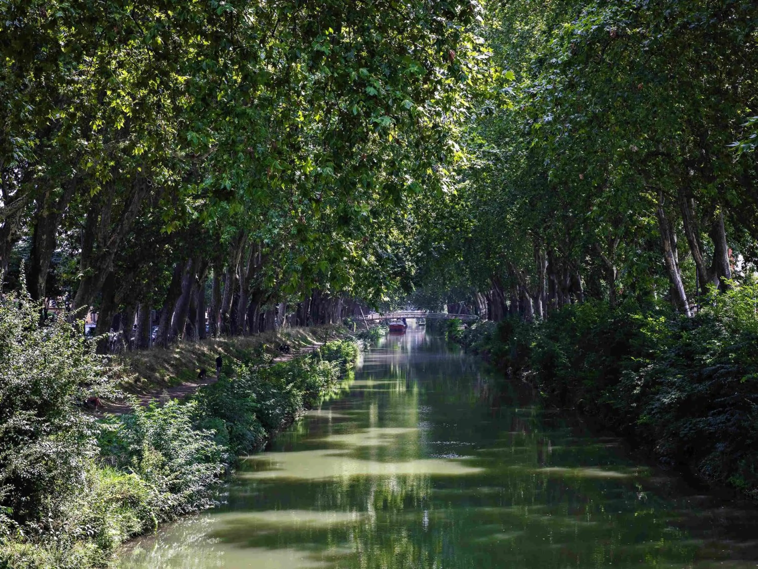 Property building in hotelF1 Toulouse Ramonville