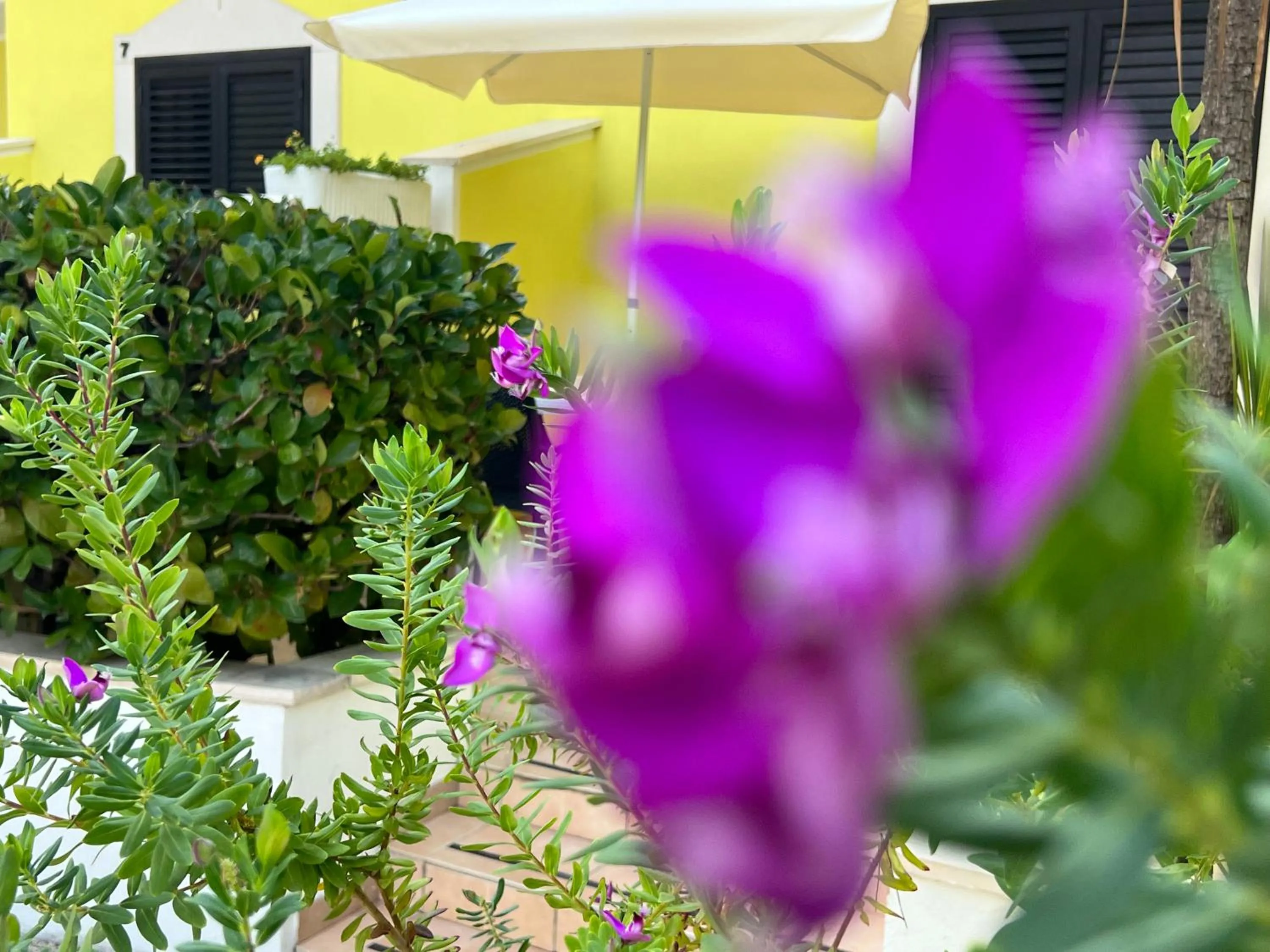 Argeste Club Vacanze