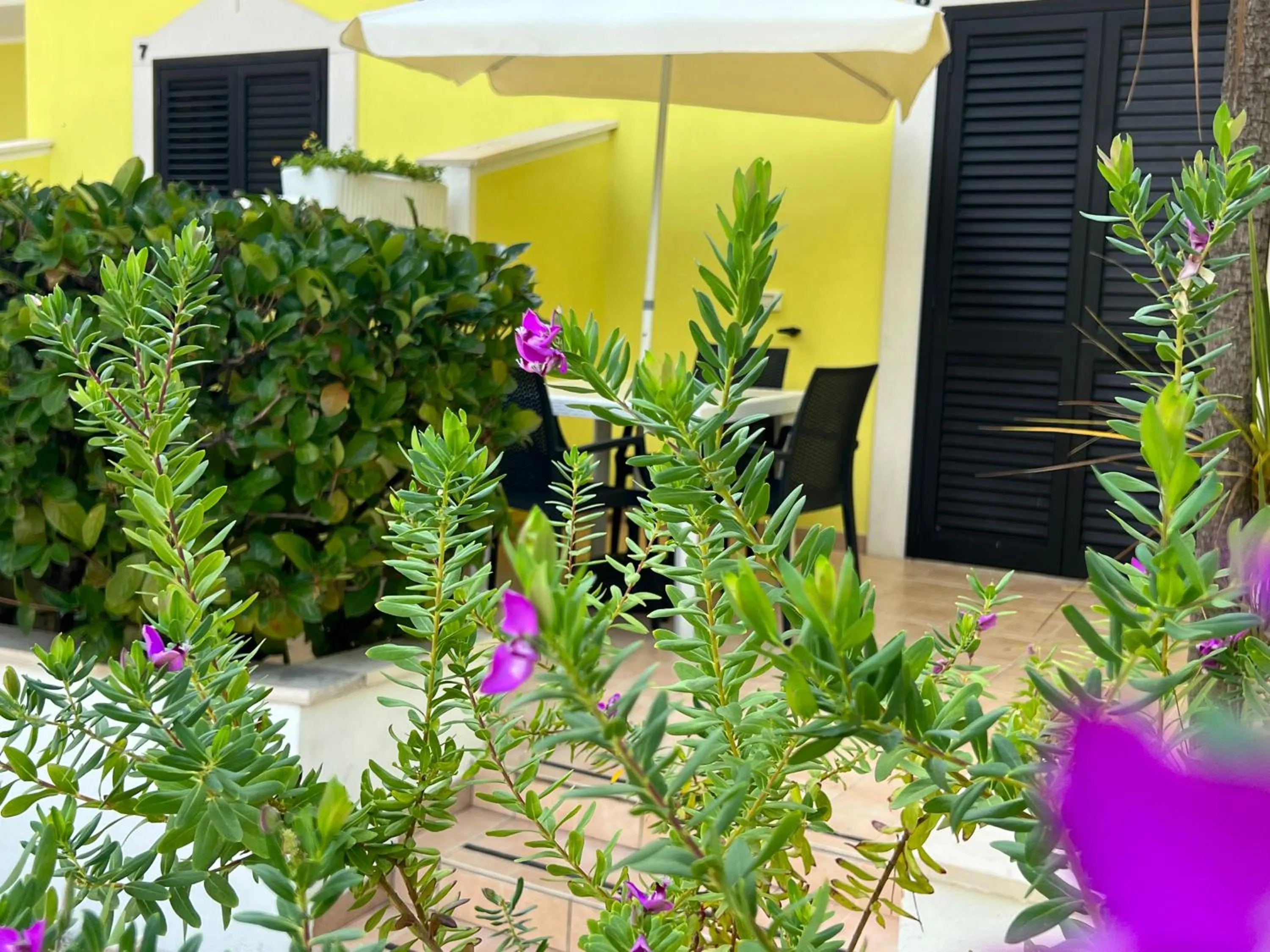 Argeste Club Vacanze