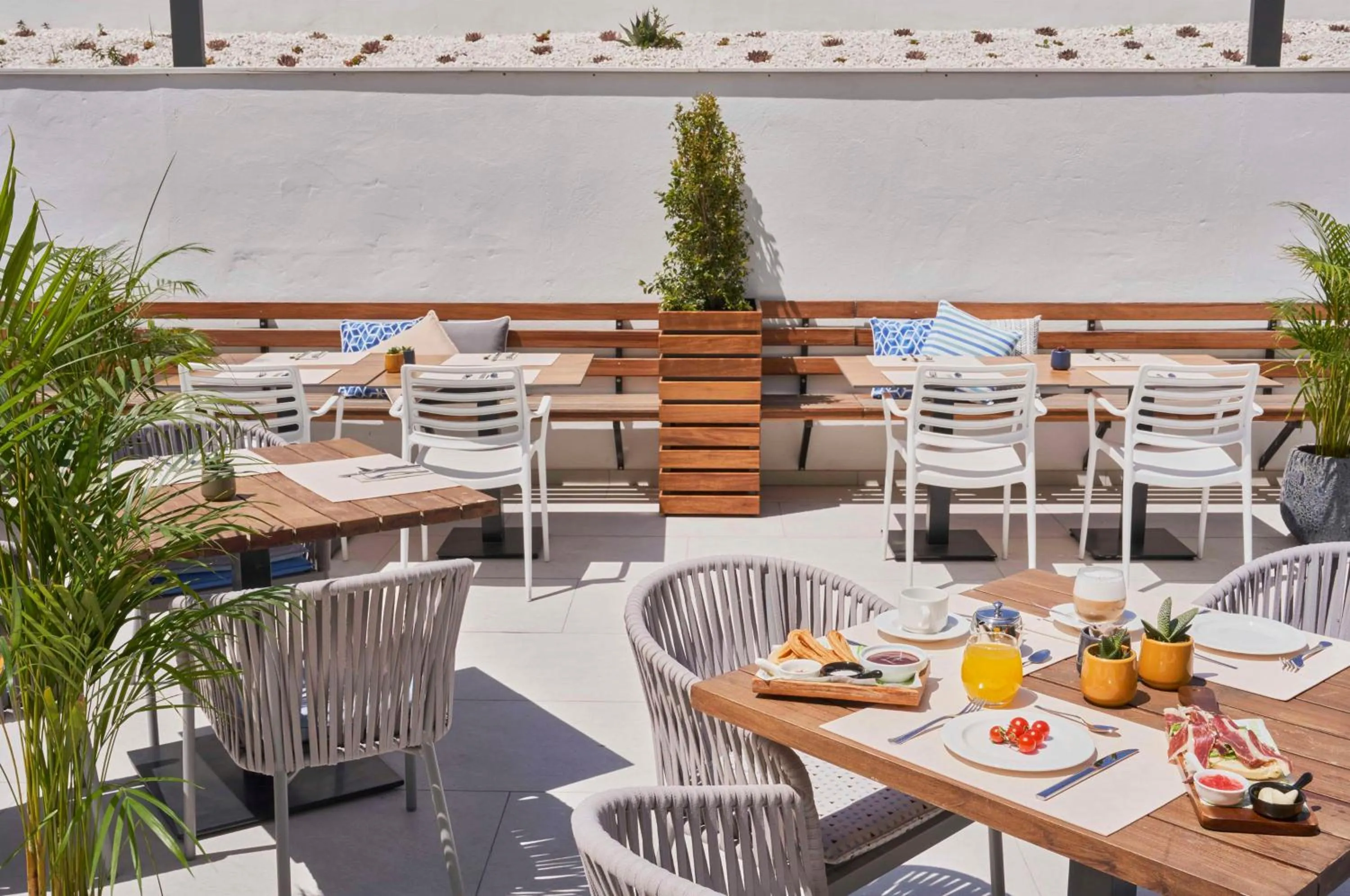 Breakfast in Barceló Conil Playa - Adults Recommended