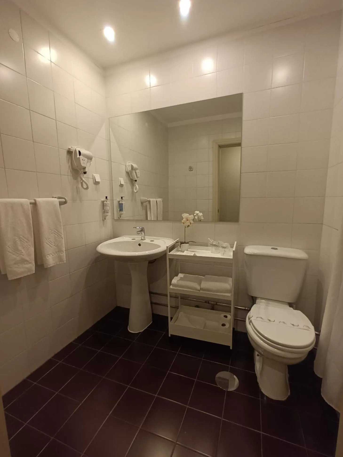 Toilet in Vilar Oporto Hotel