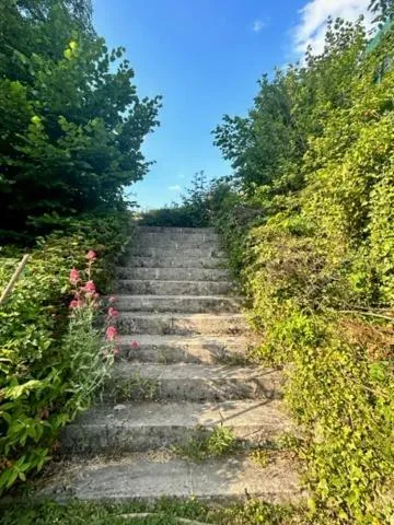 Garden view in Chambres d'hôtes dans une maison de caractère