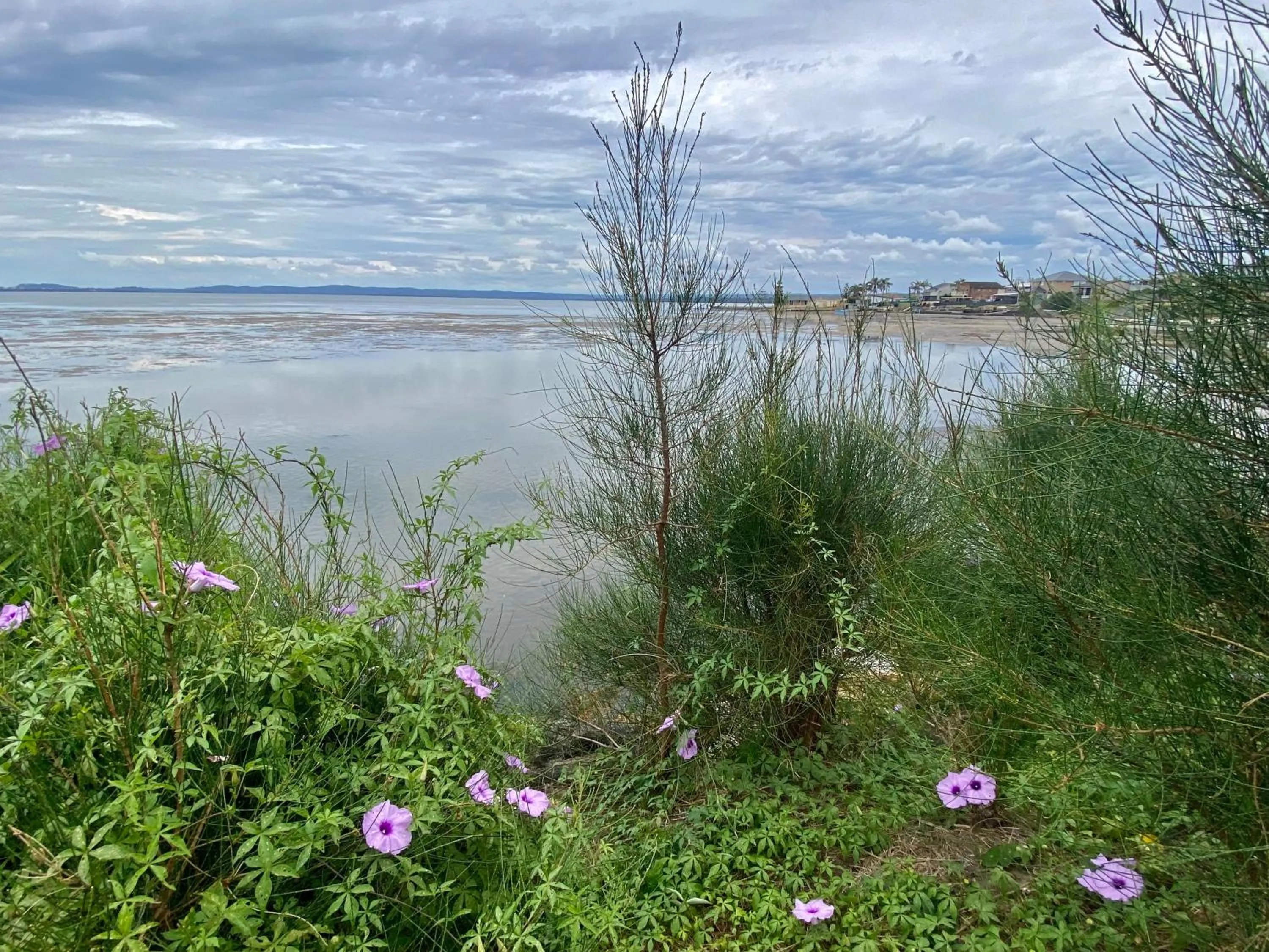 Lakes Resort Toukley