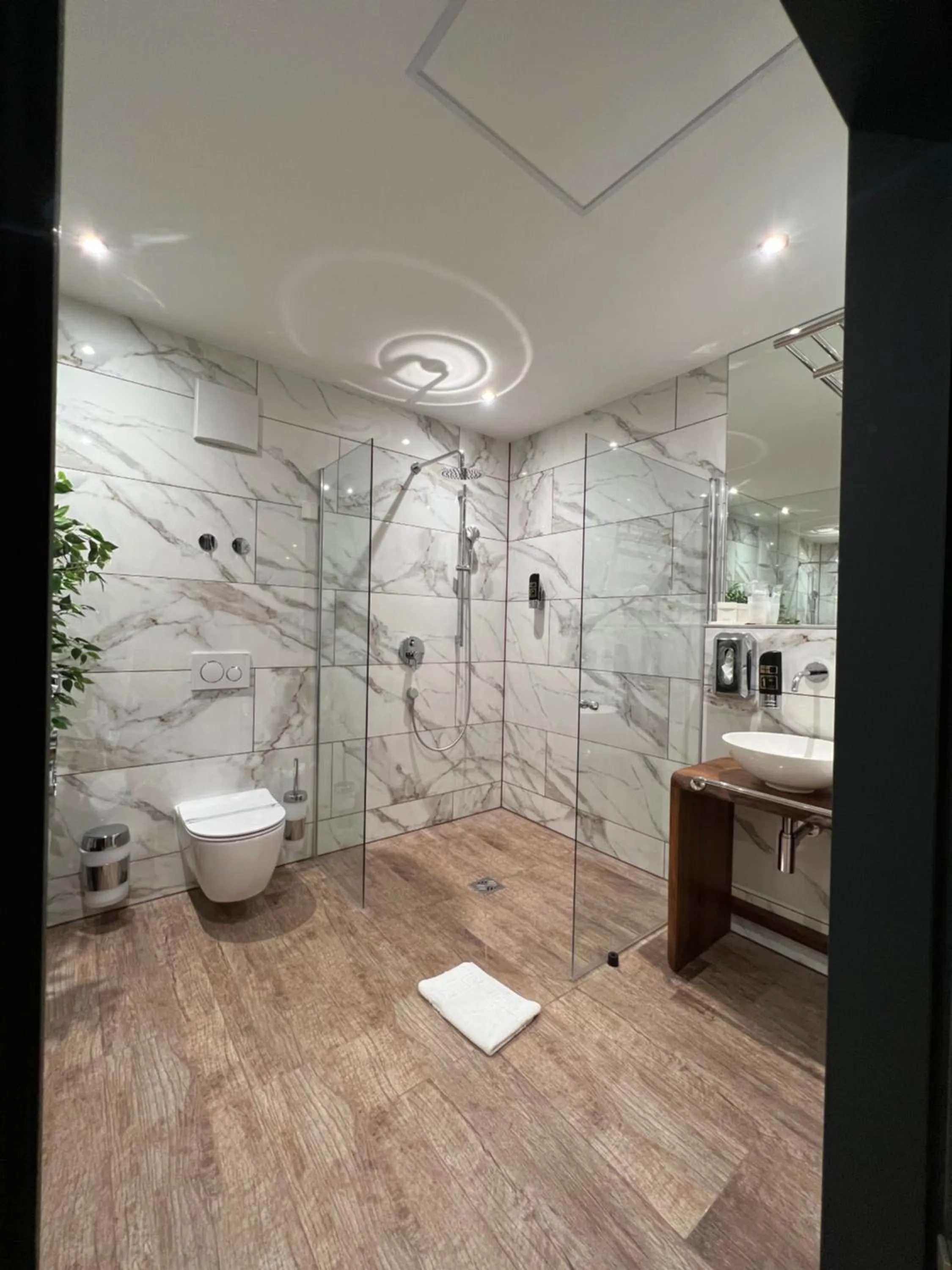 Shower in Design Hotel Winterrot