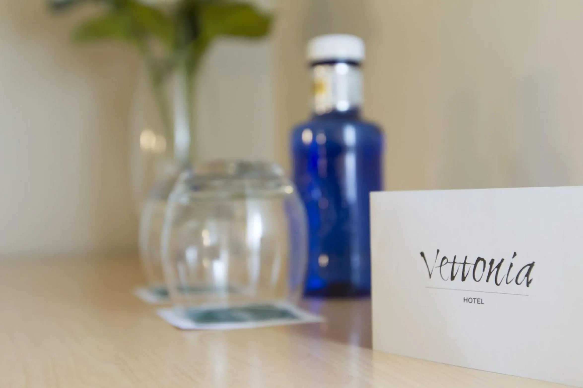 Decorative detail in Vettonia Hotel