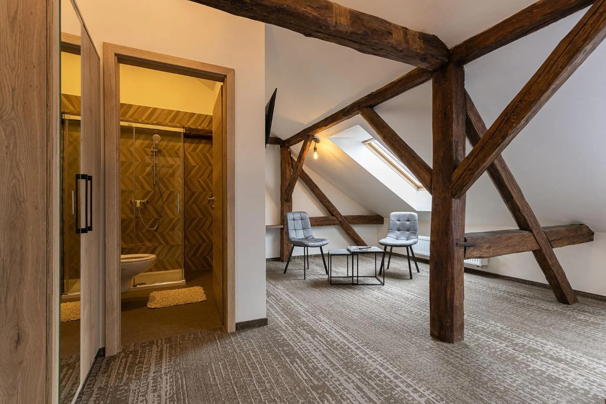 Apartsee Wellness Plzeň