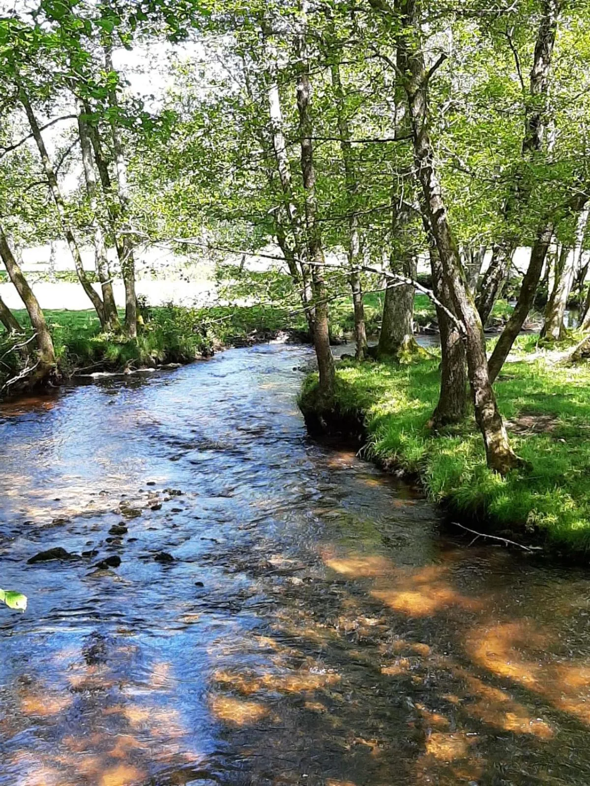 Natural landscape in Chateau Sourliavoux, appartement en chambres d'hôtes