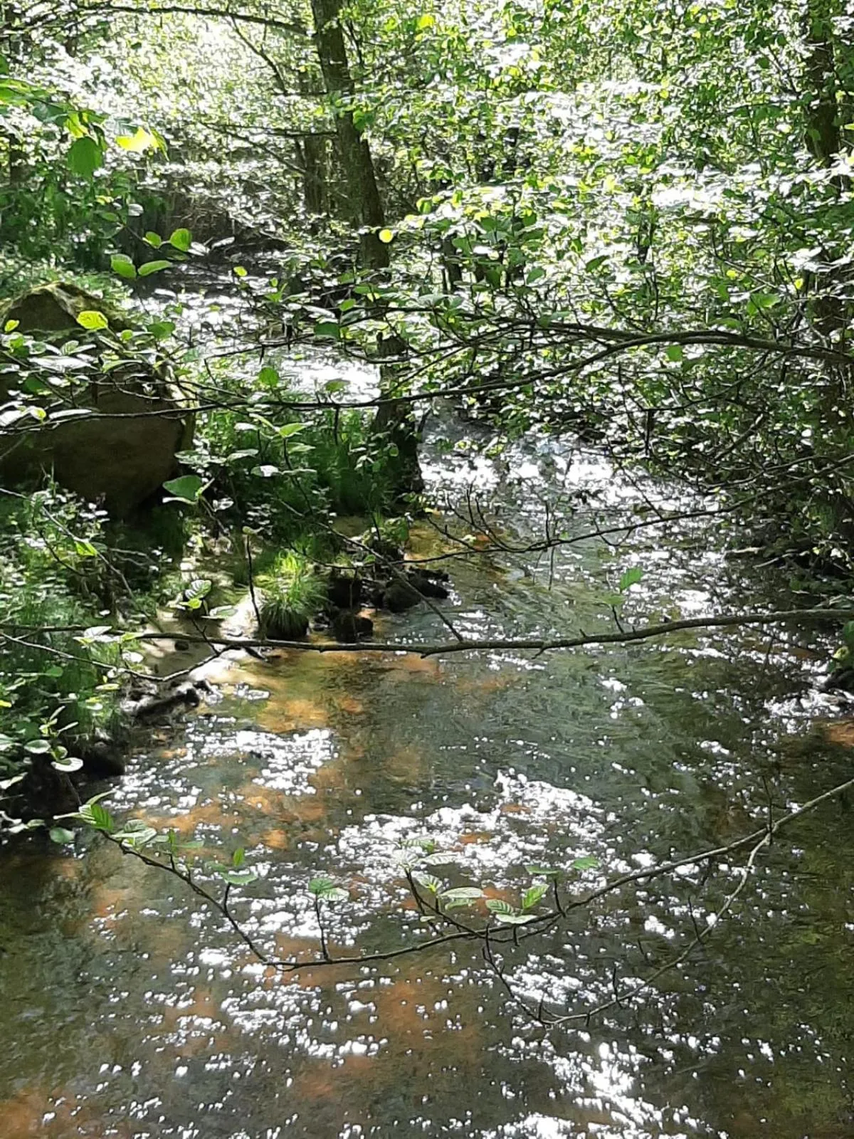 Natural landscape in Chateau Sourliavoux, appartement en chambres d'hôtes
