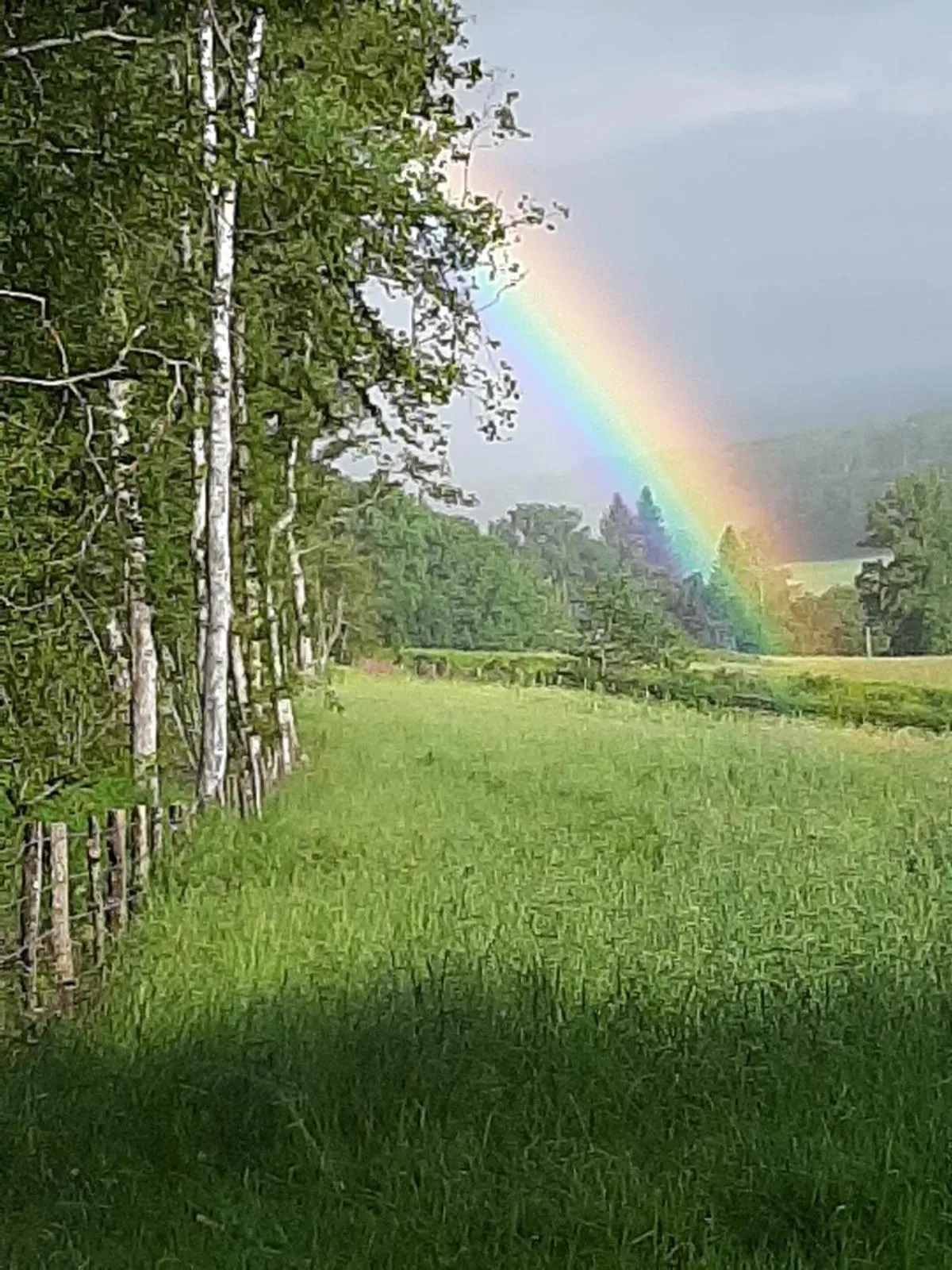 Natural landscape in Chateau Sourliavoux, appartement en chambres d'hôtes