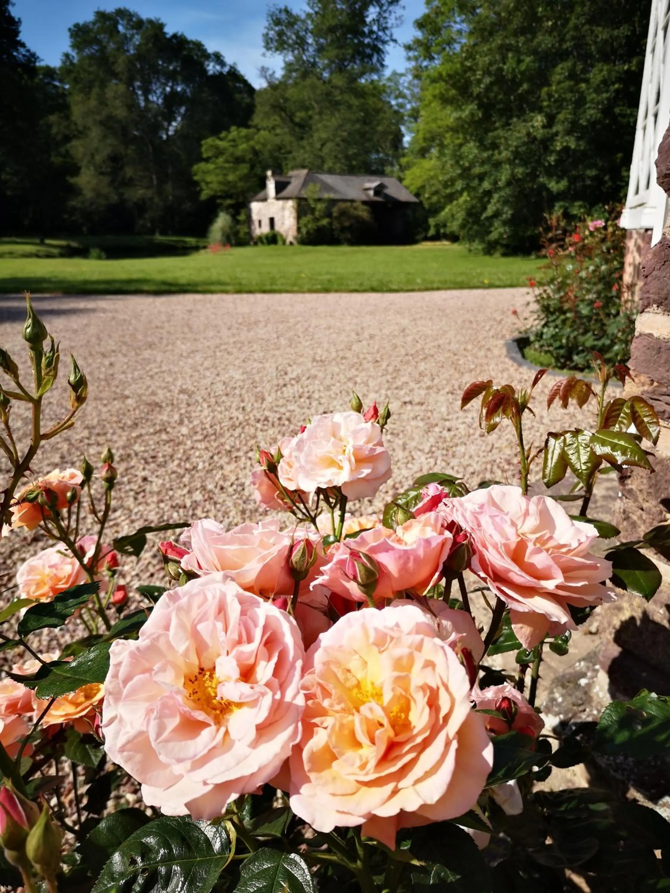 Domaine des Longrais