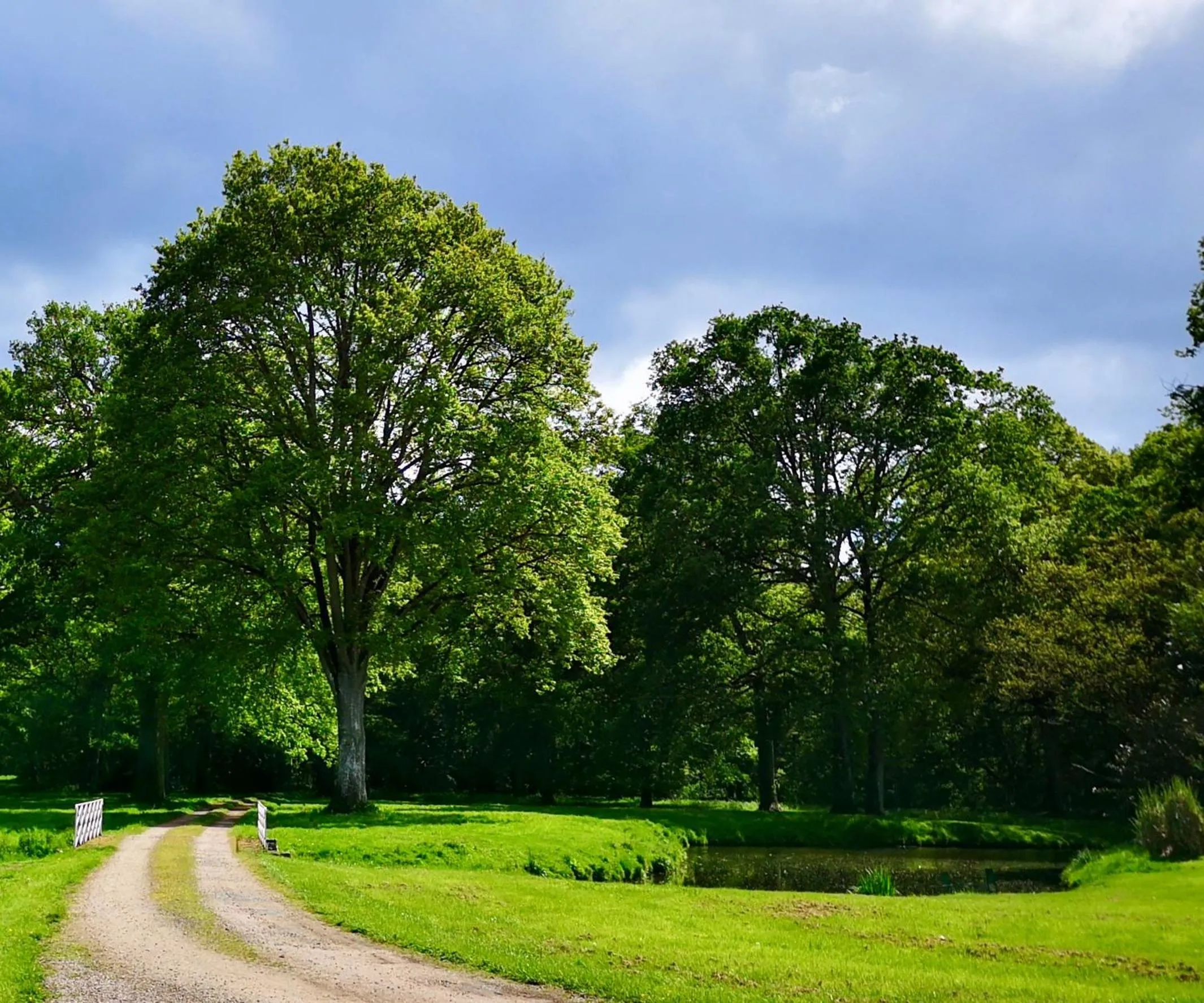 Domaine des Longrais