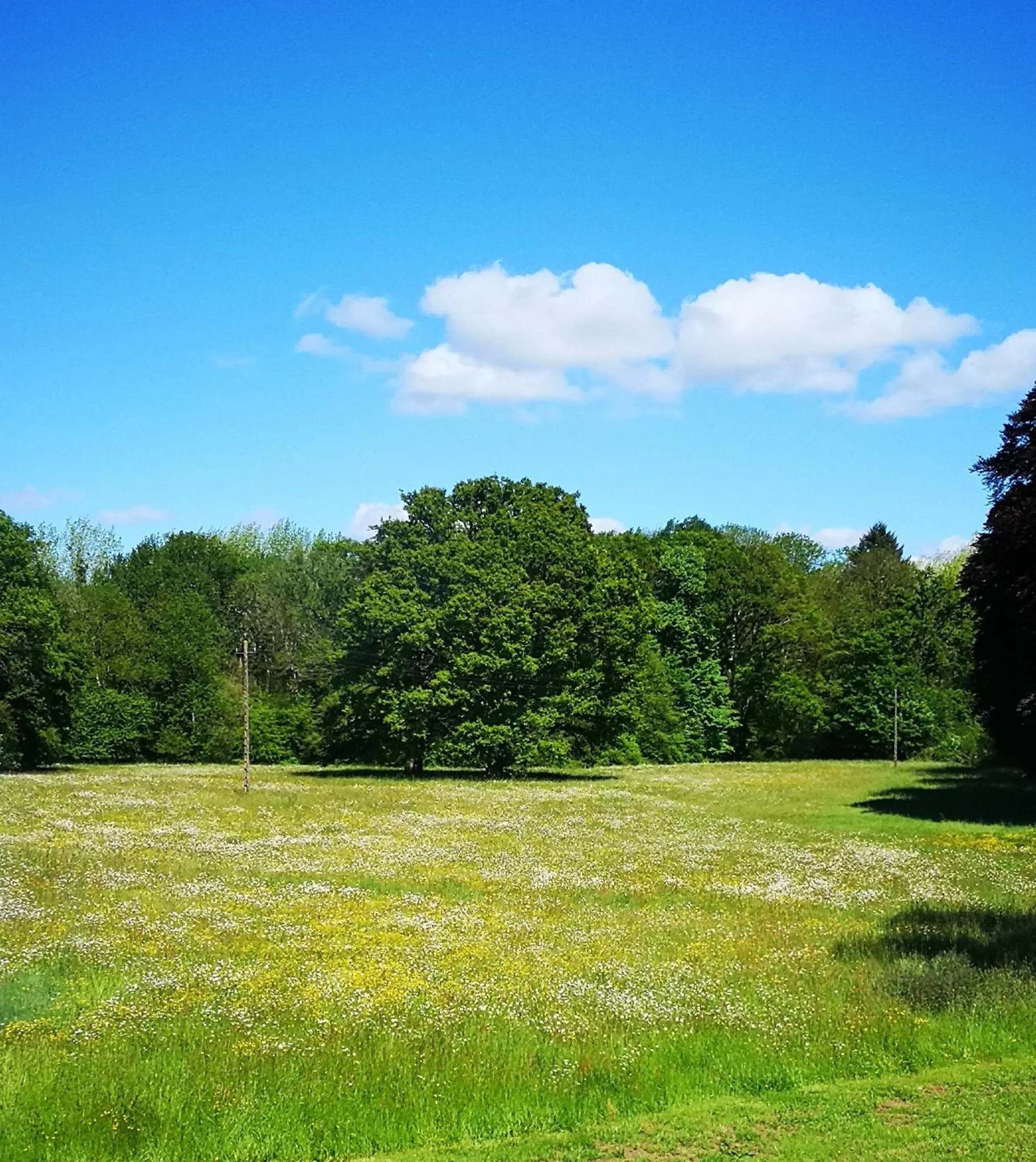 Domaine des Longrais