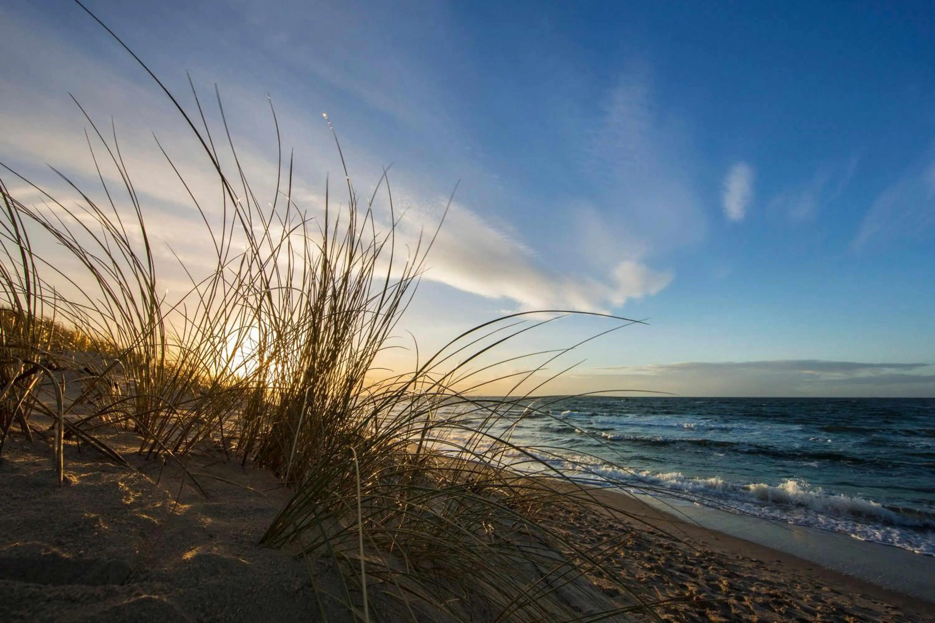 Beach in Strandhotel Dünenmeer - Adults only