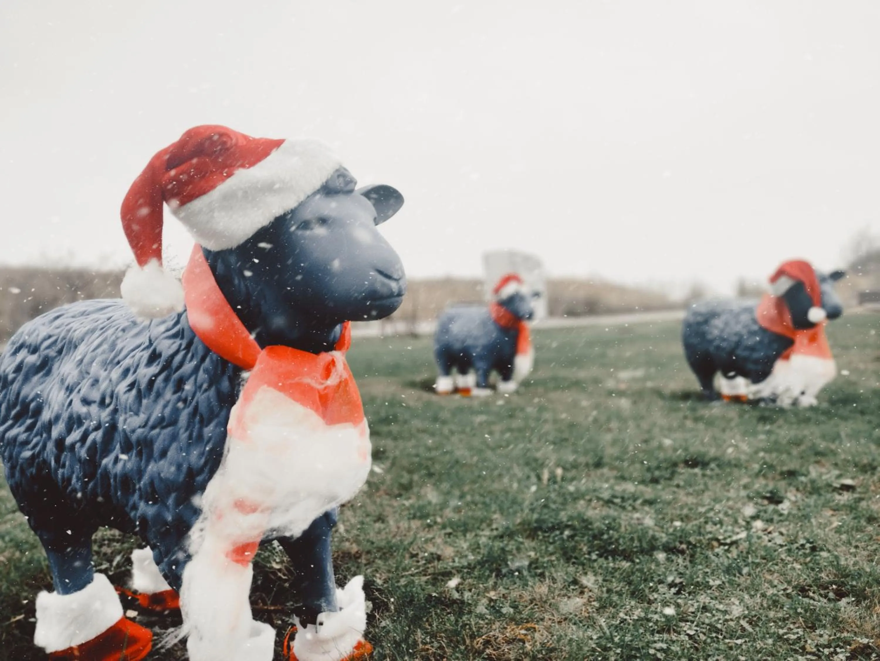 Strandhotel Dünenmeer - Adults only