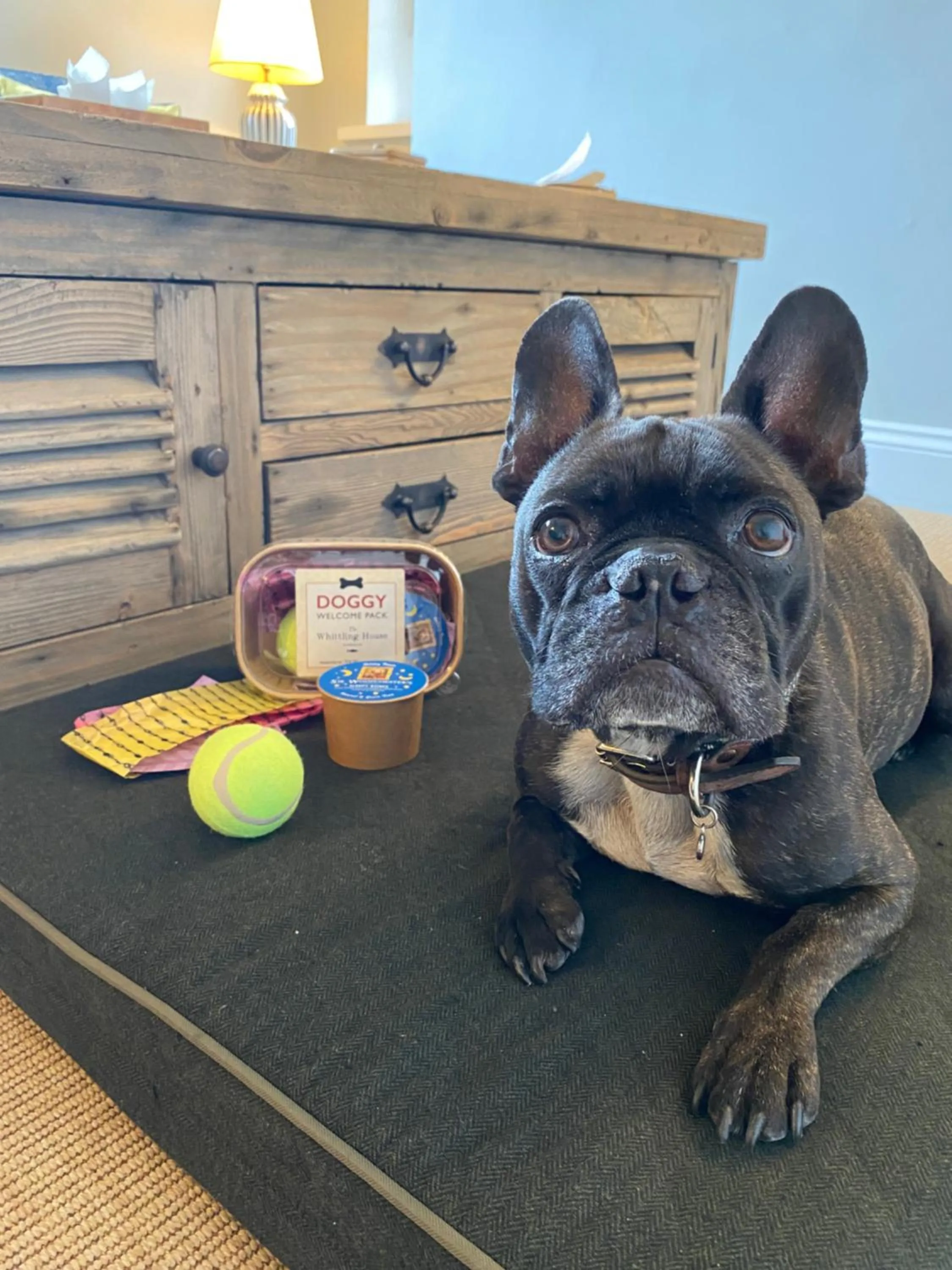 Pets in The Whittling House