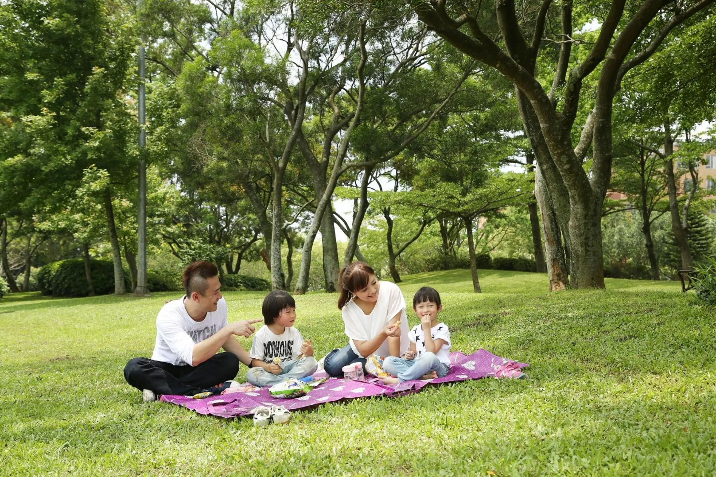 Natural landscape in Aspire Resort