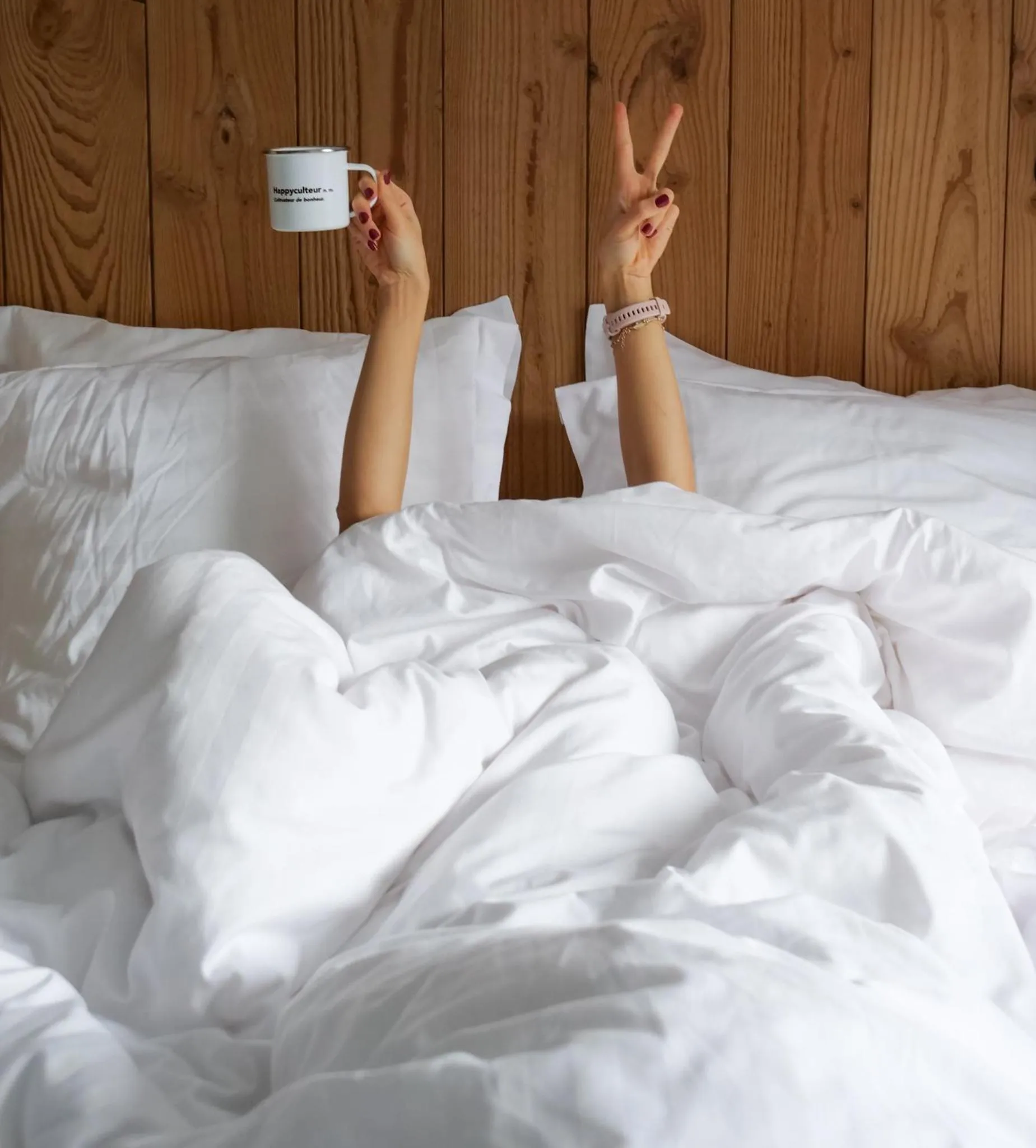 Bed in PlanB - Living Saint-Gervais - 250m des Remontées Mécaniques