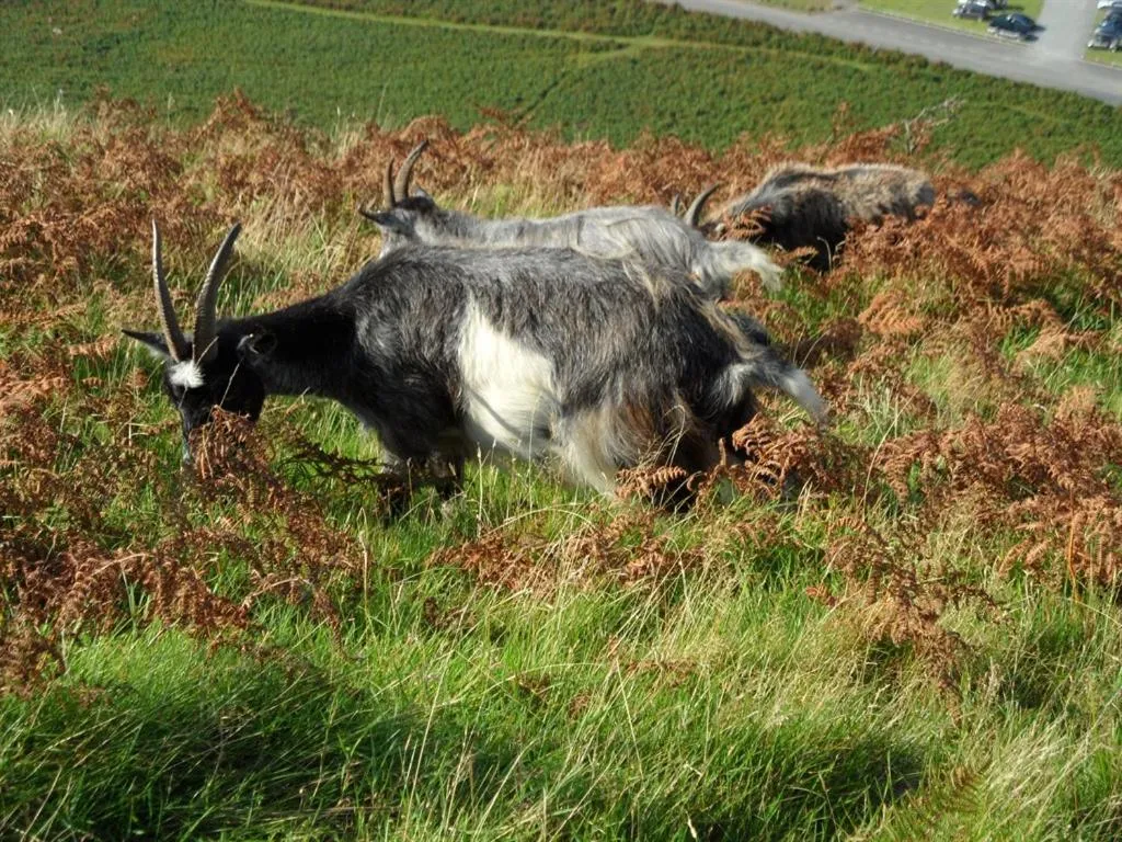 View (from property/room) in St Vincent Guest House