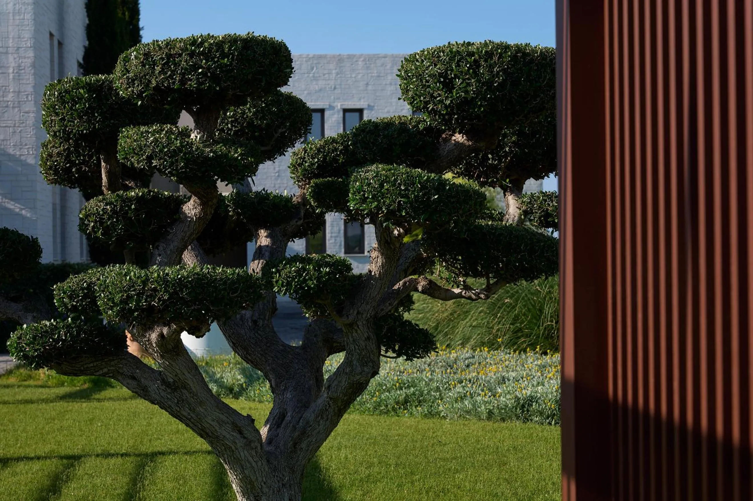 Garden in Atlantica Dreams Resort