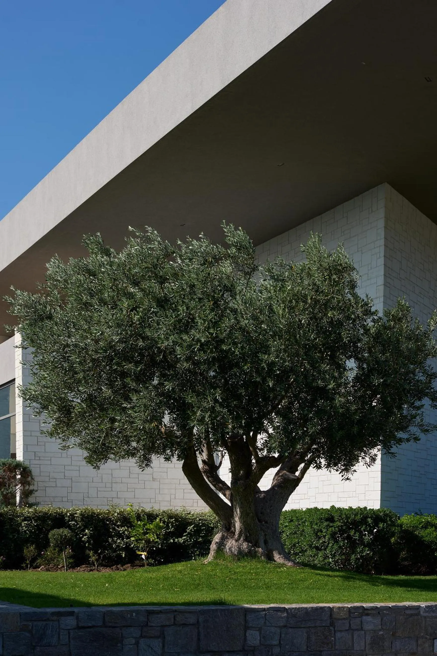 Garden in Atlantica Dreams Resort