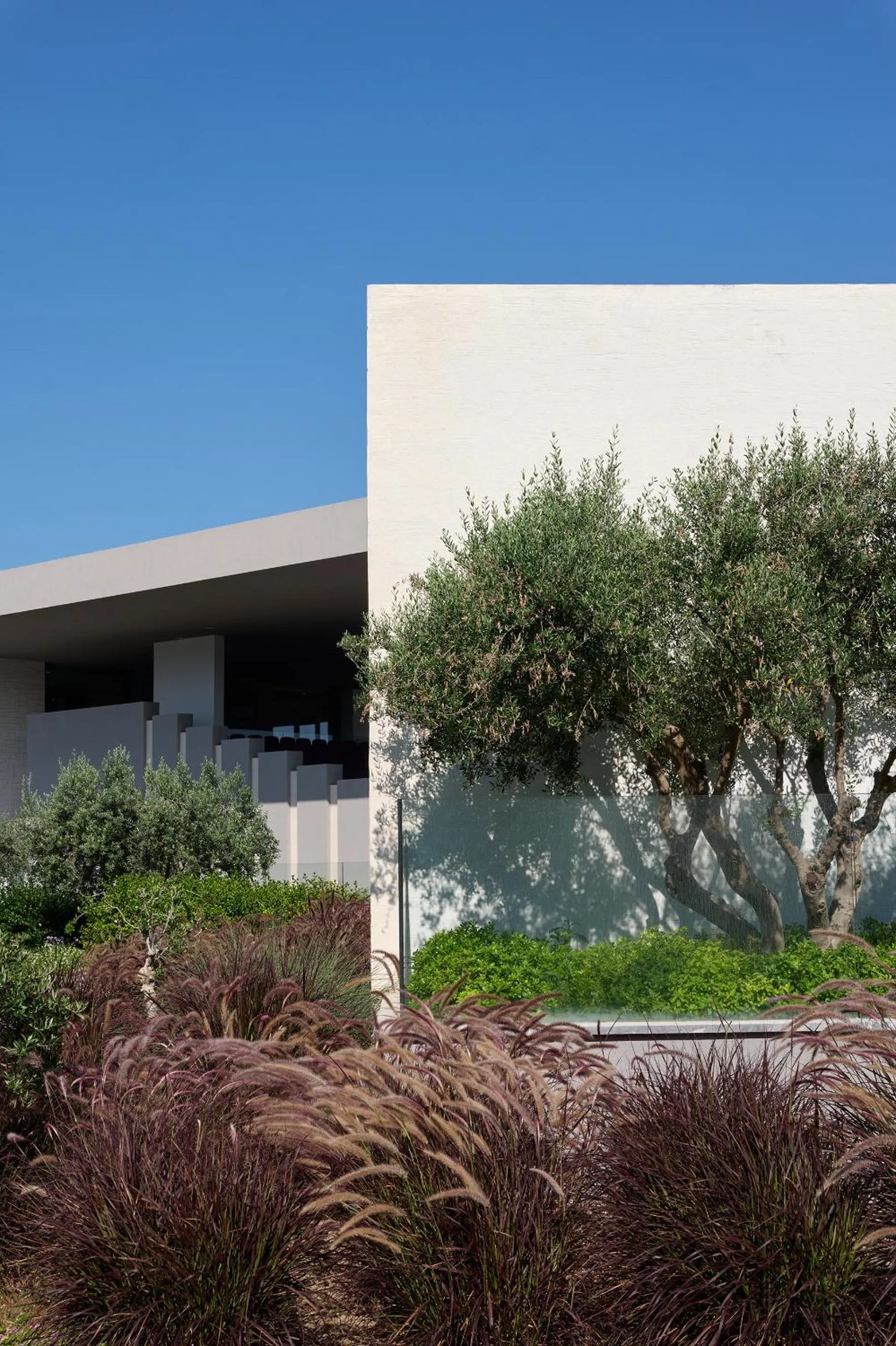 Garden in Atlantica Dreams Resort