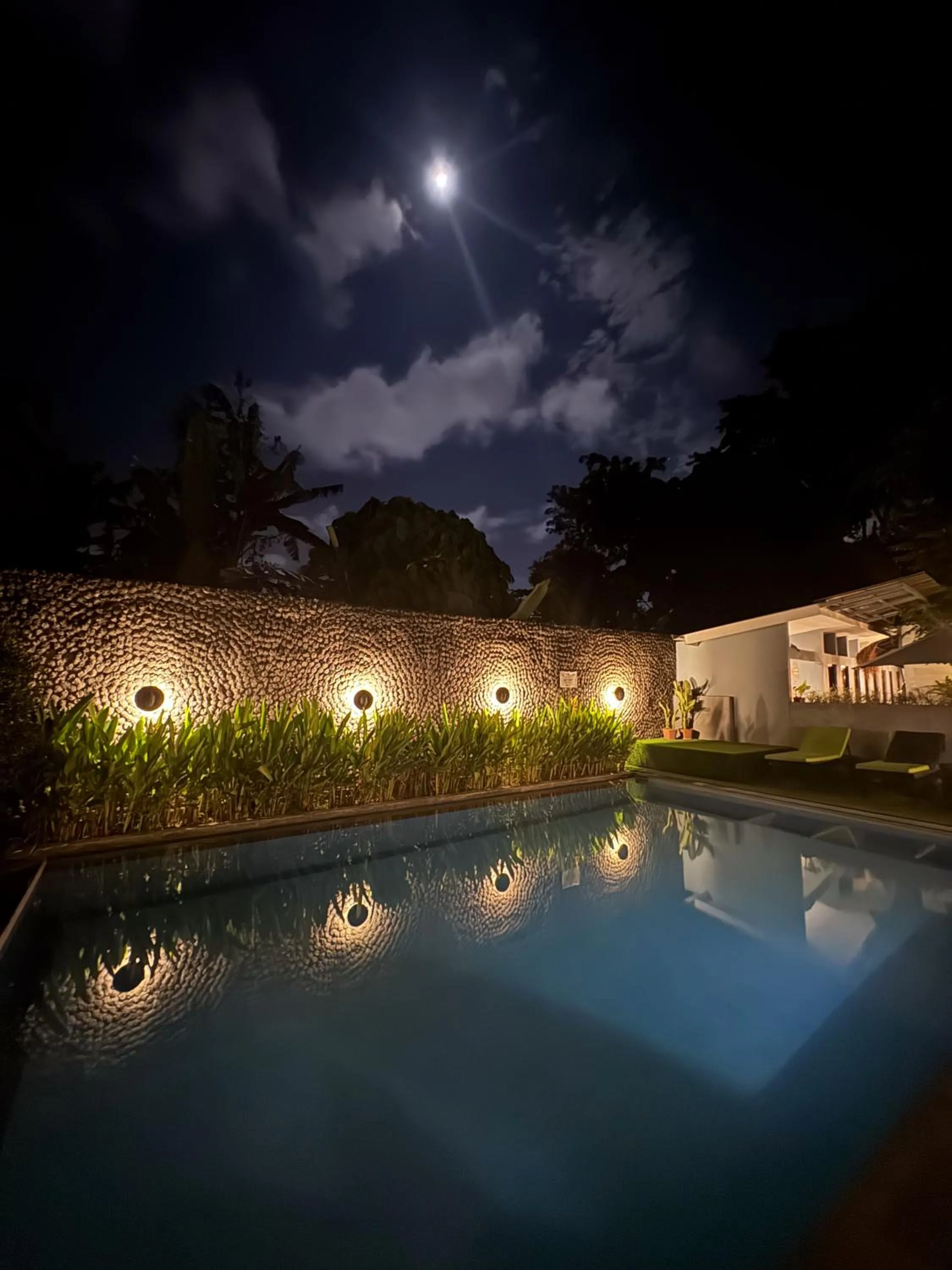 The Jungle Hostel Canggu