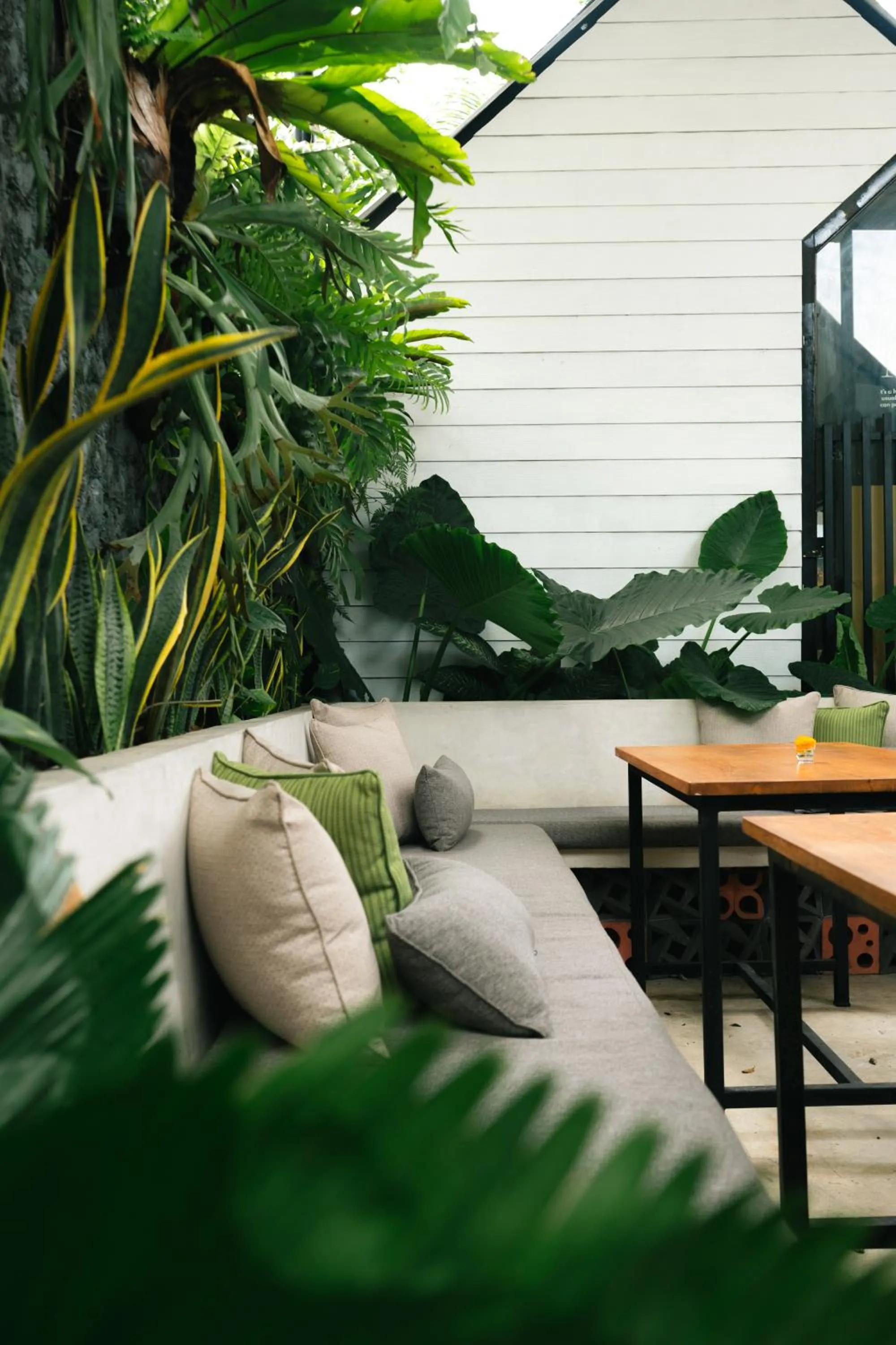 The Jungle Hostel Canggu